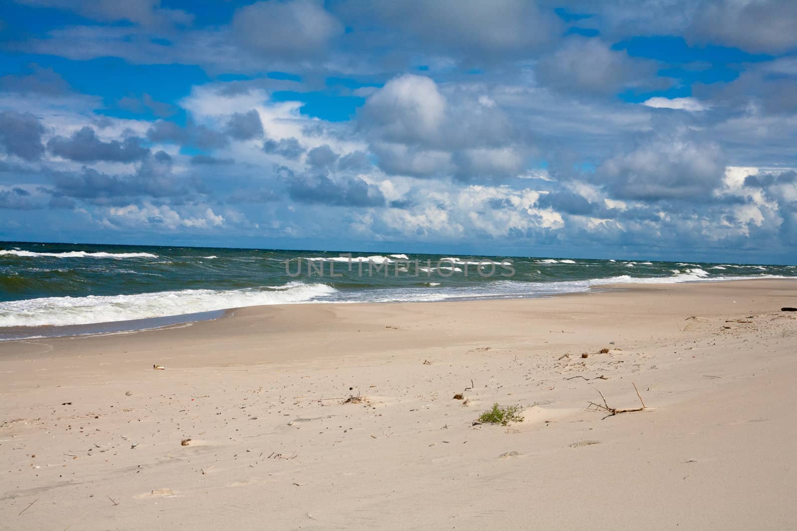 Baltic sea near Curonian Spit
