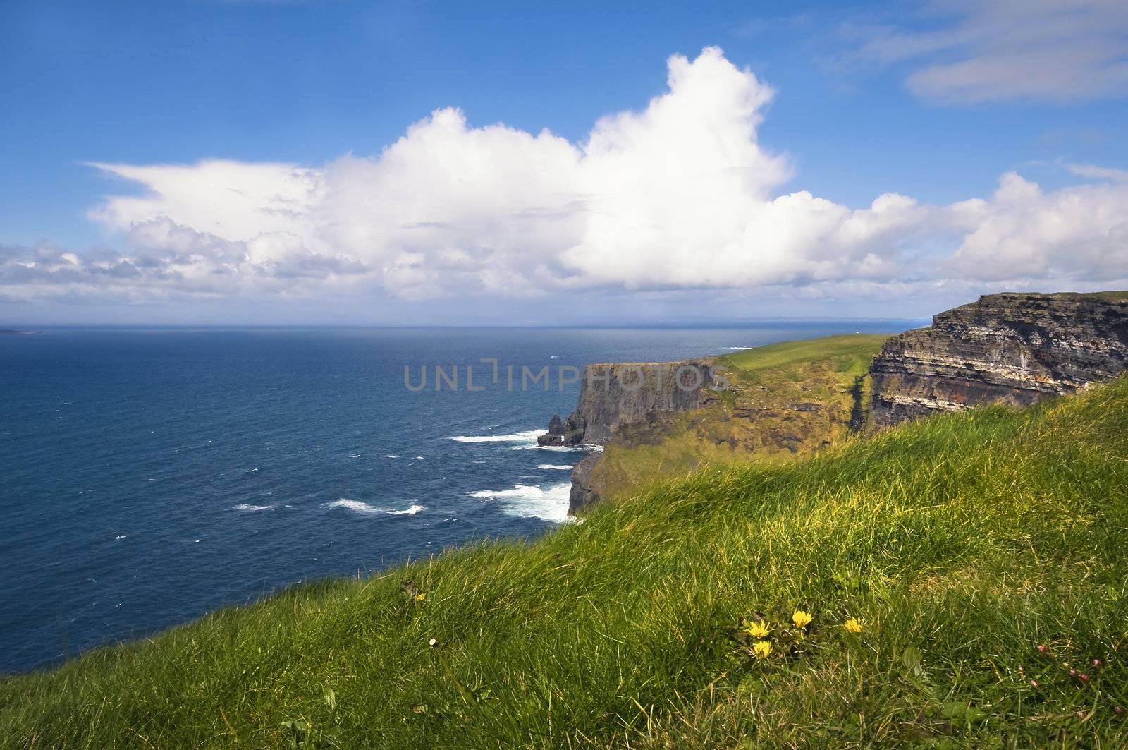 an Ireland landscape at Cliffs of Moher