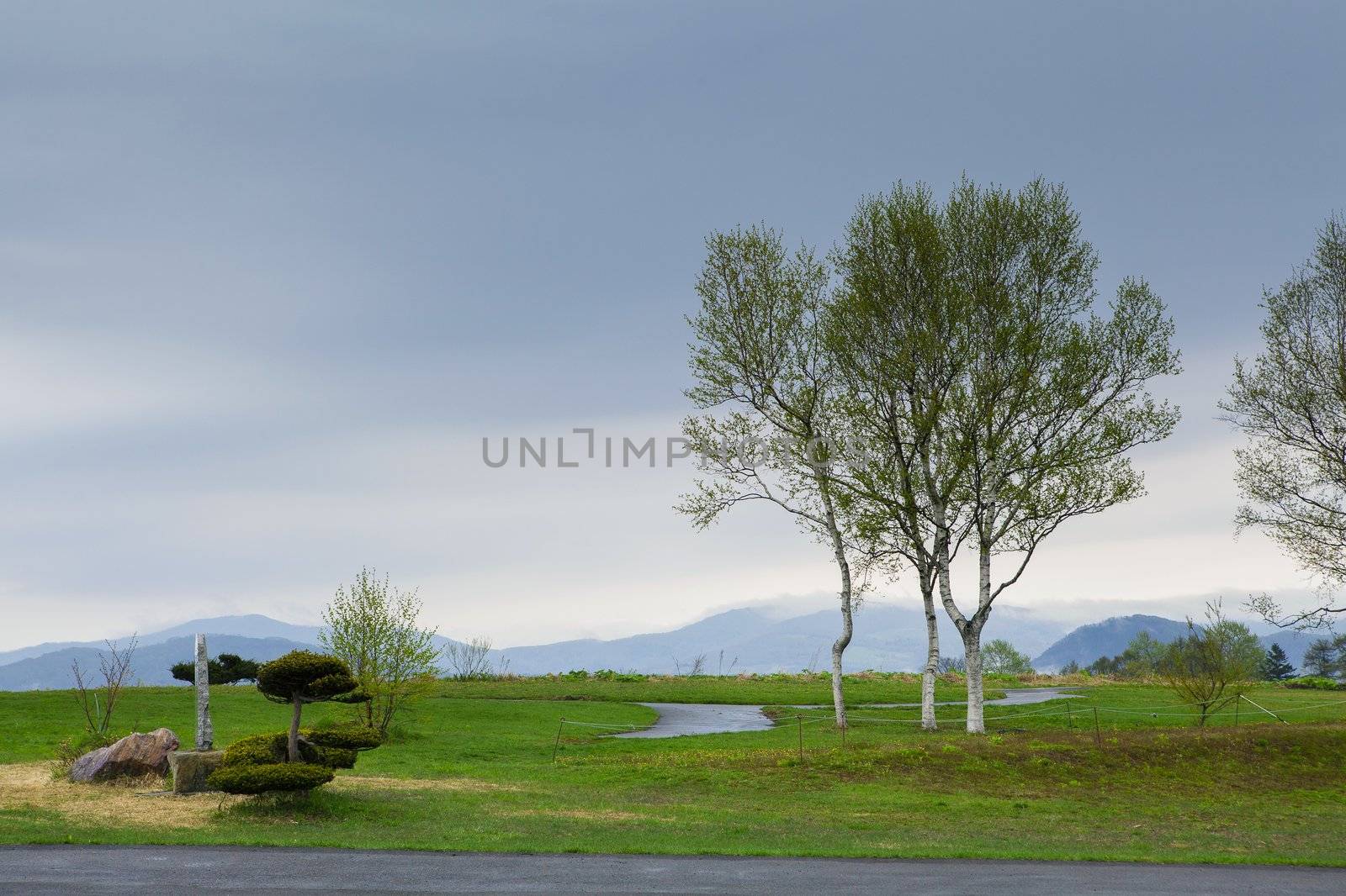 green grass, trees and mountain by jukurae