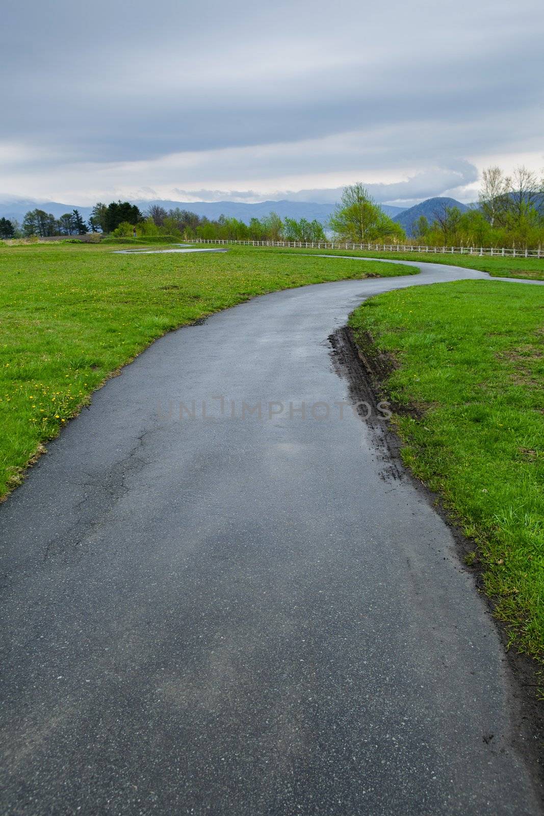 road with green grass landscape