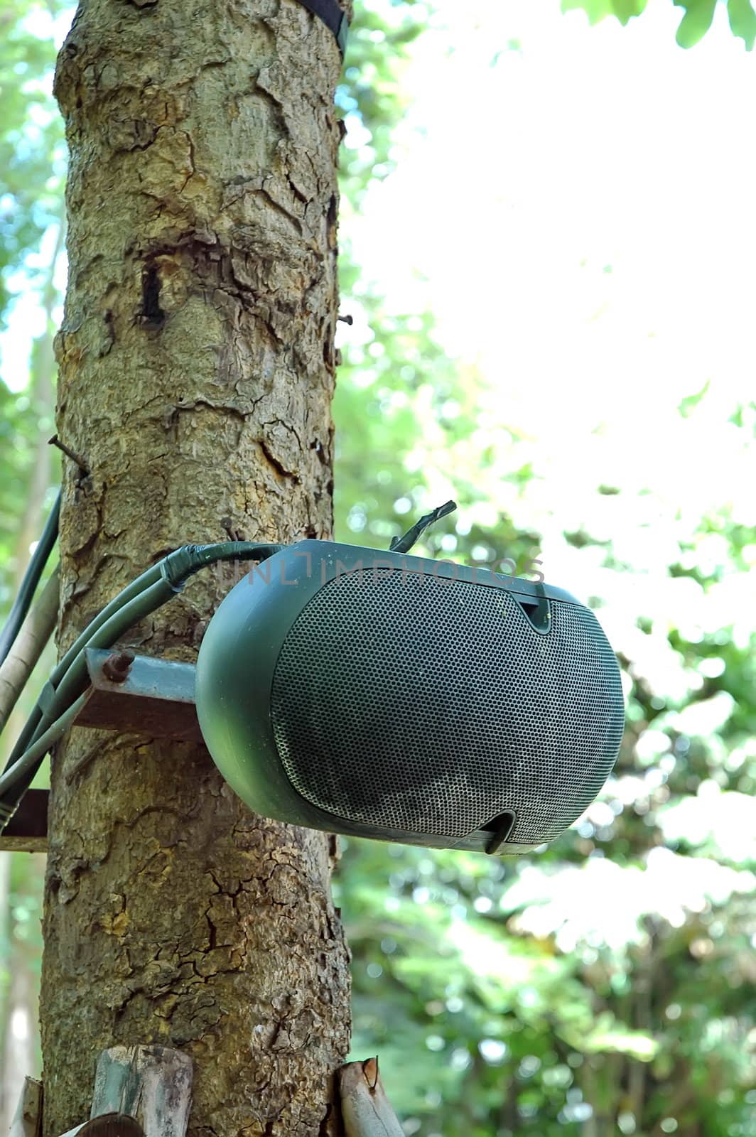 Speakers on the tree Using music in the park