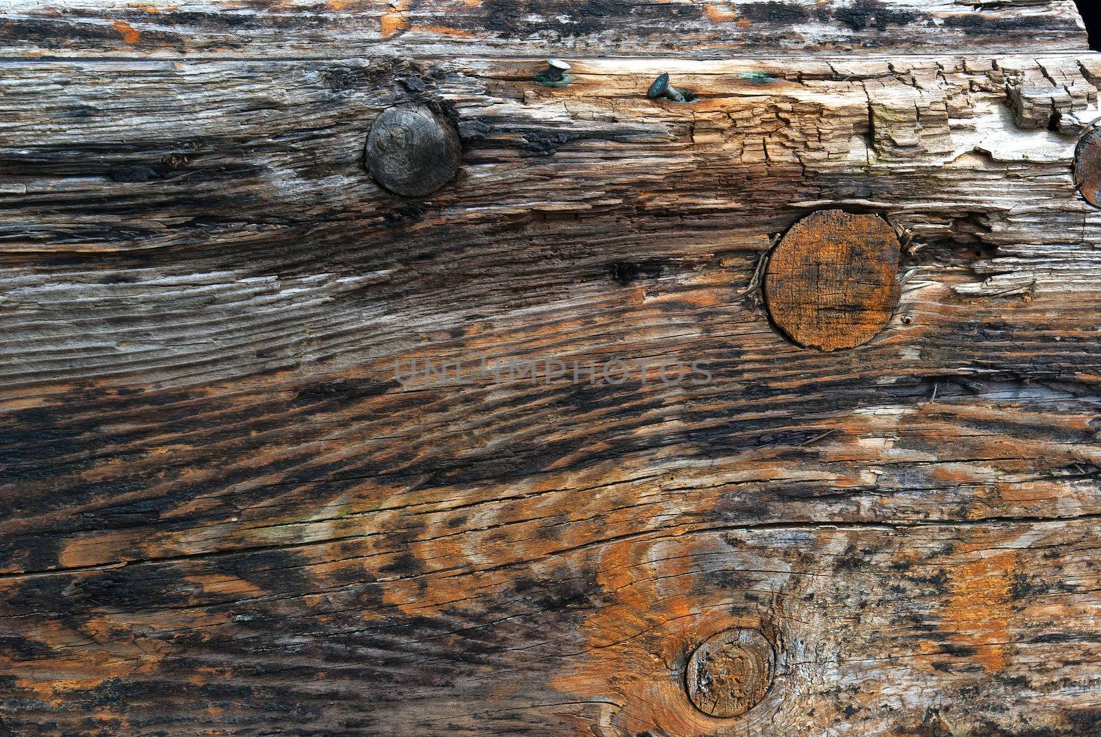 Aged old textured wood pattern surface with copper nails  background