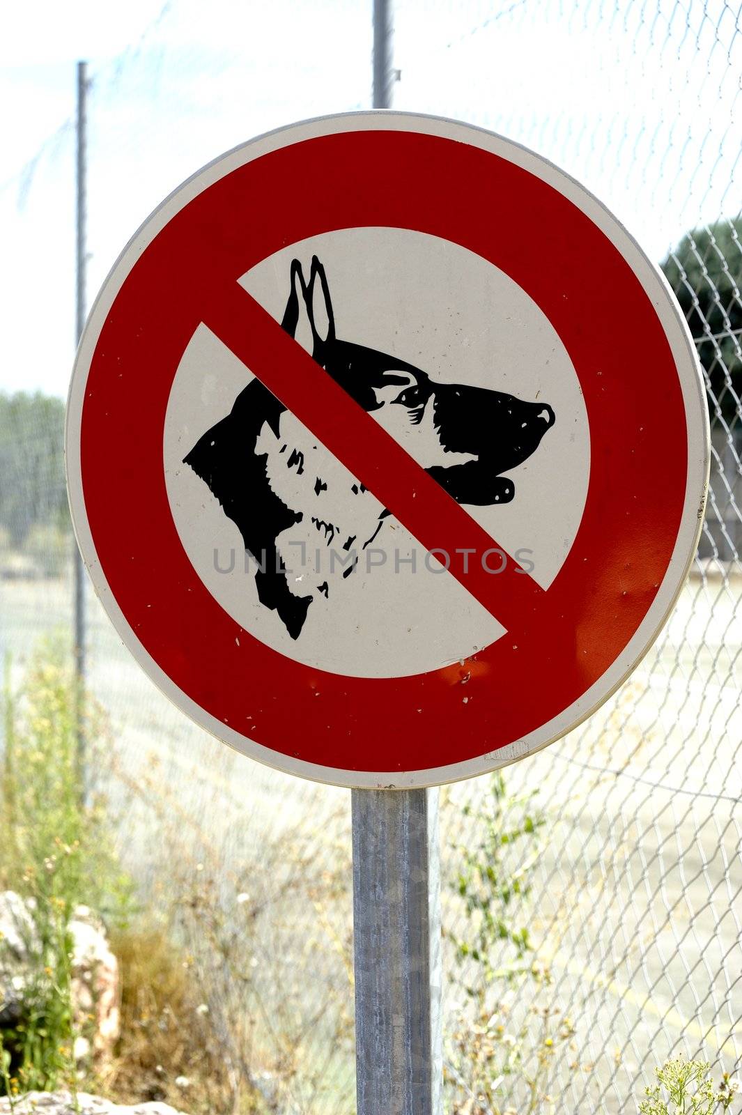 Panel prohibited with the dog for preserved cleanliness for the walkers.