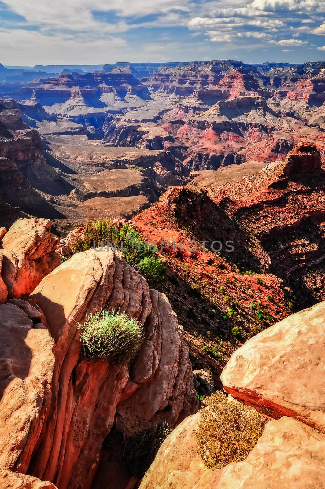 Grand canyon vertical landscape view, rocks foreground, Arizona, USA