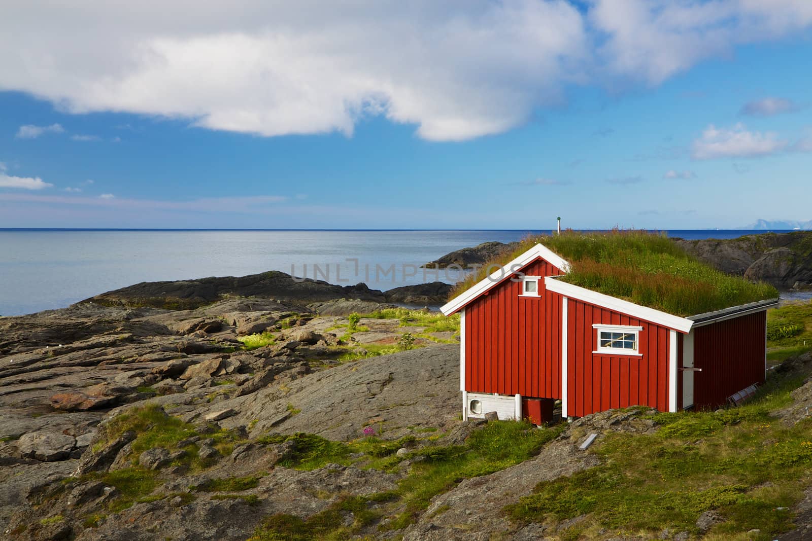 Traditional norwegian red hut with green roof on coast of Lofoten islands, Norway