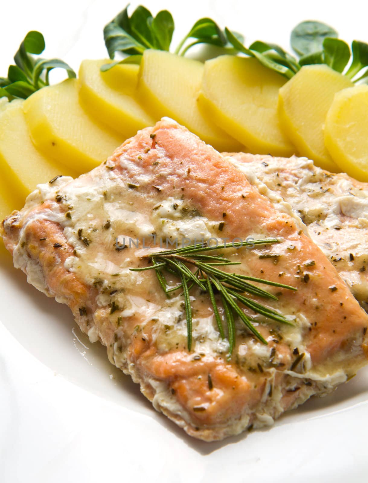 white dish with salmon fillet and potatoes