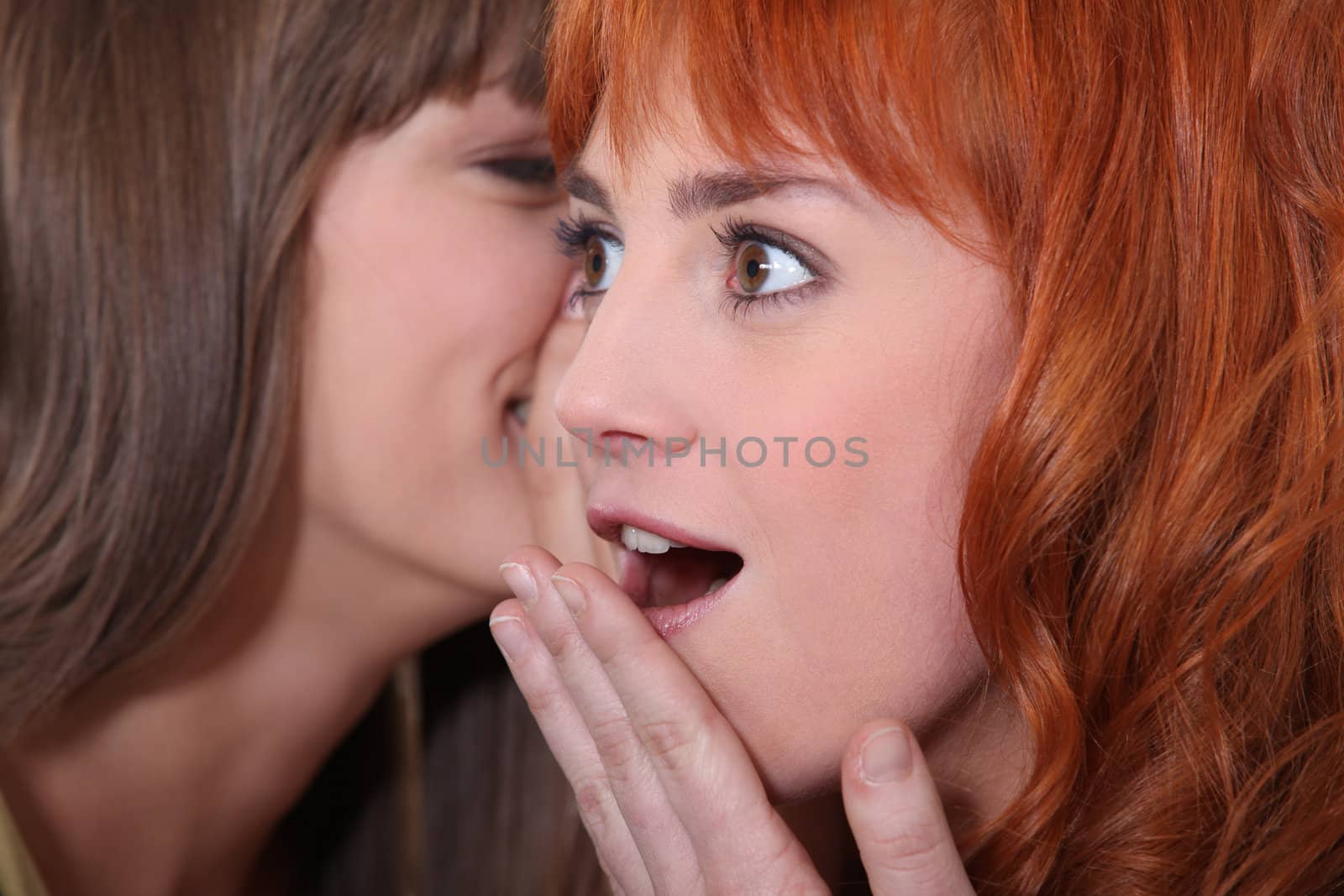 closeup of female duo sharing secrets by phovoir