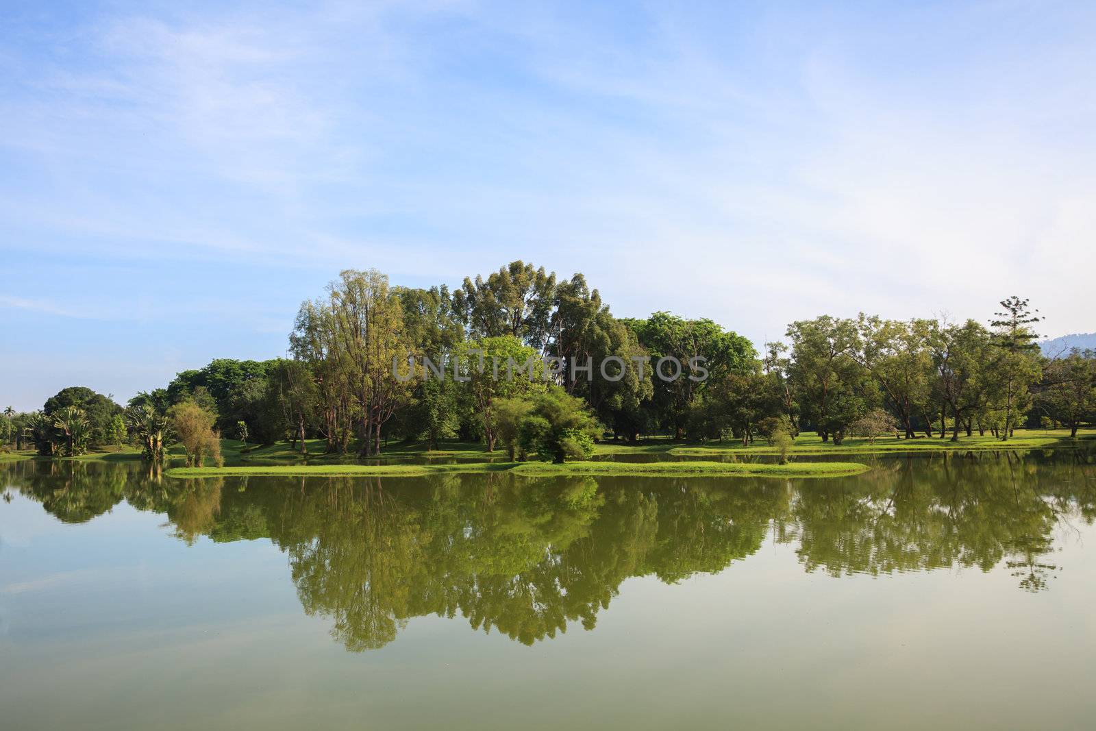 Reflection of Lake garden in Taiping Malaysia