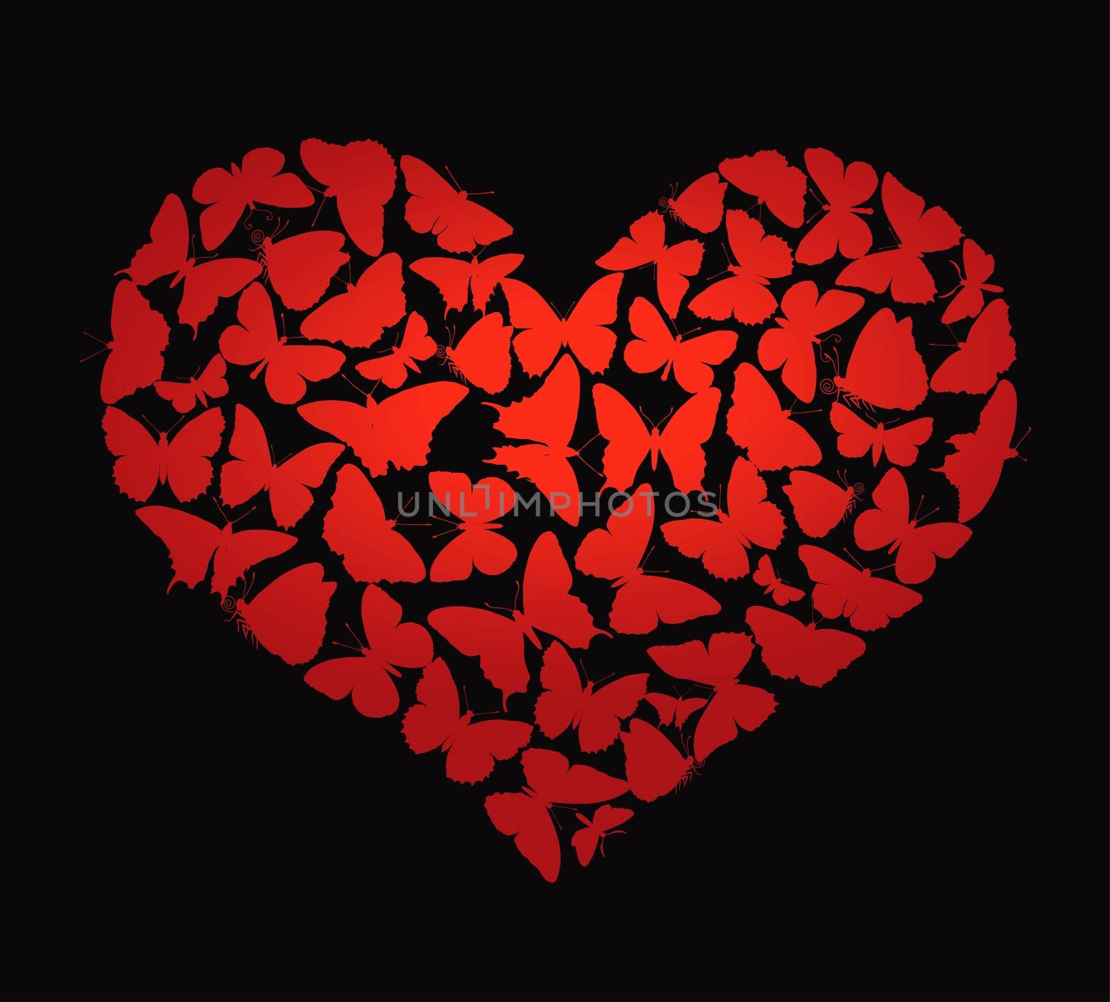 Heart made of  butterflies isolated. Vector eps8.