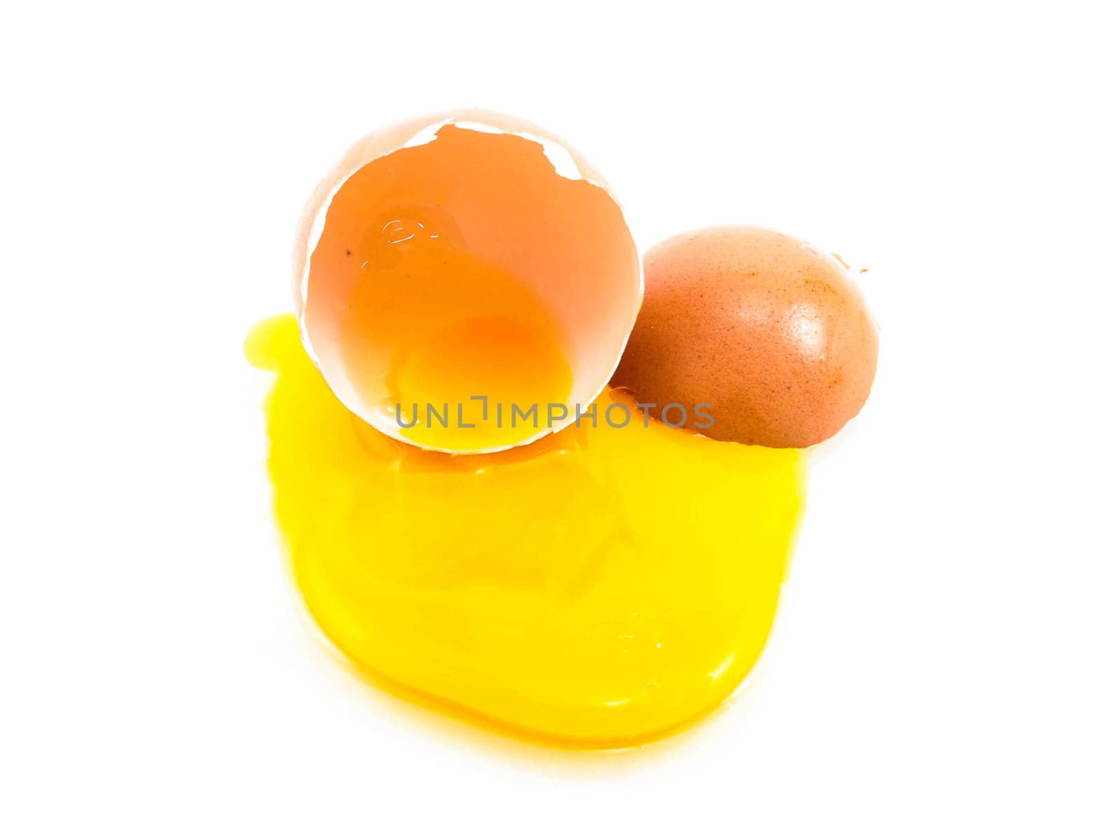 egg