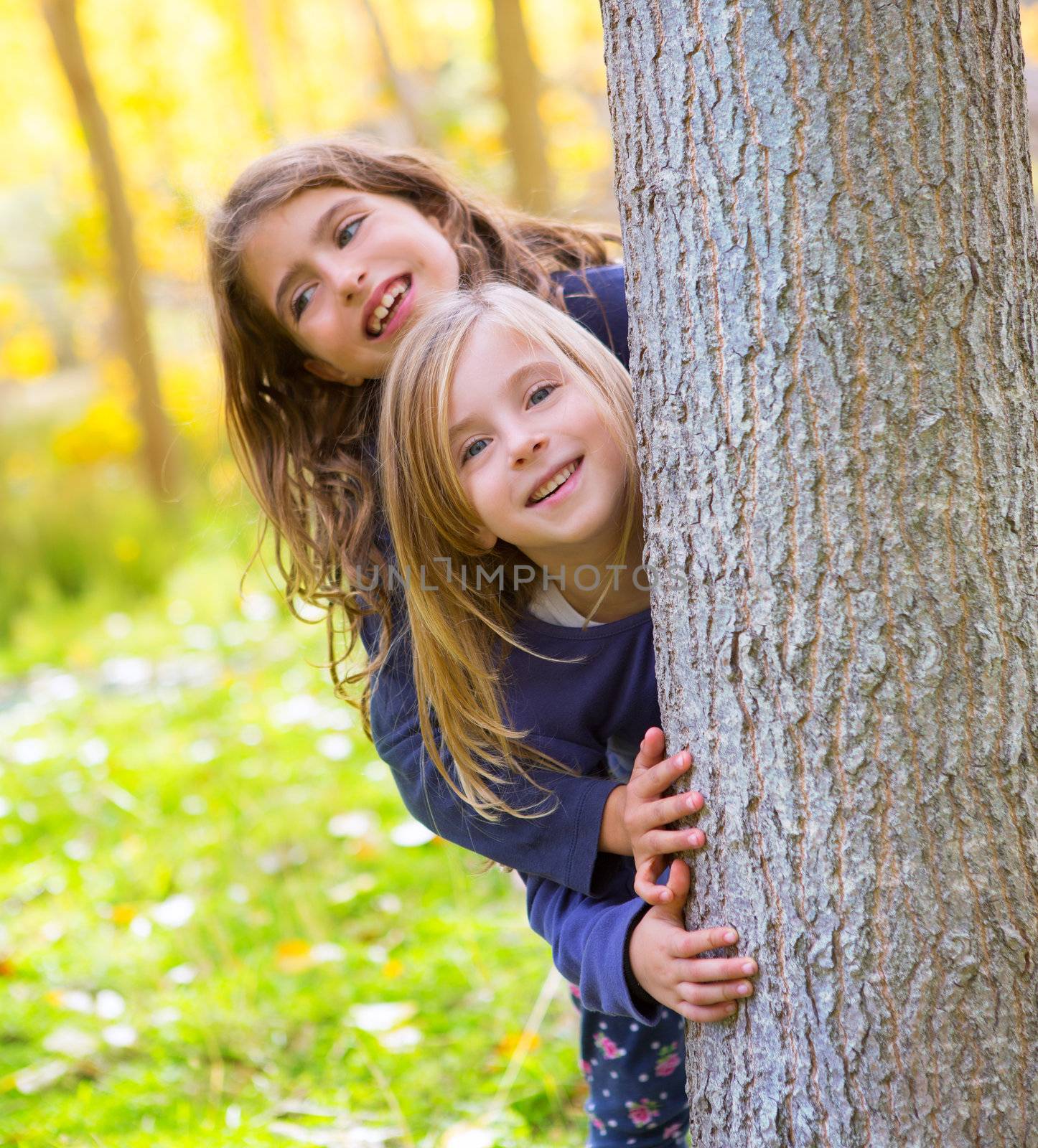 Autumn sister kid girls playing in forest trunk outdoor by lunamarina