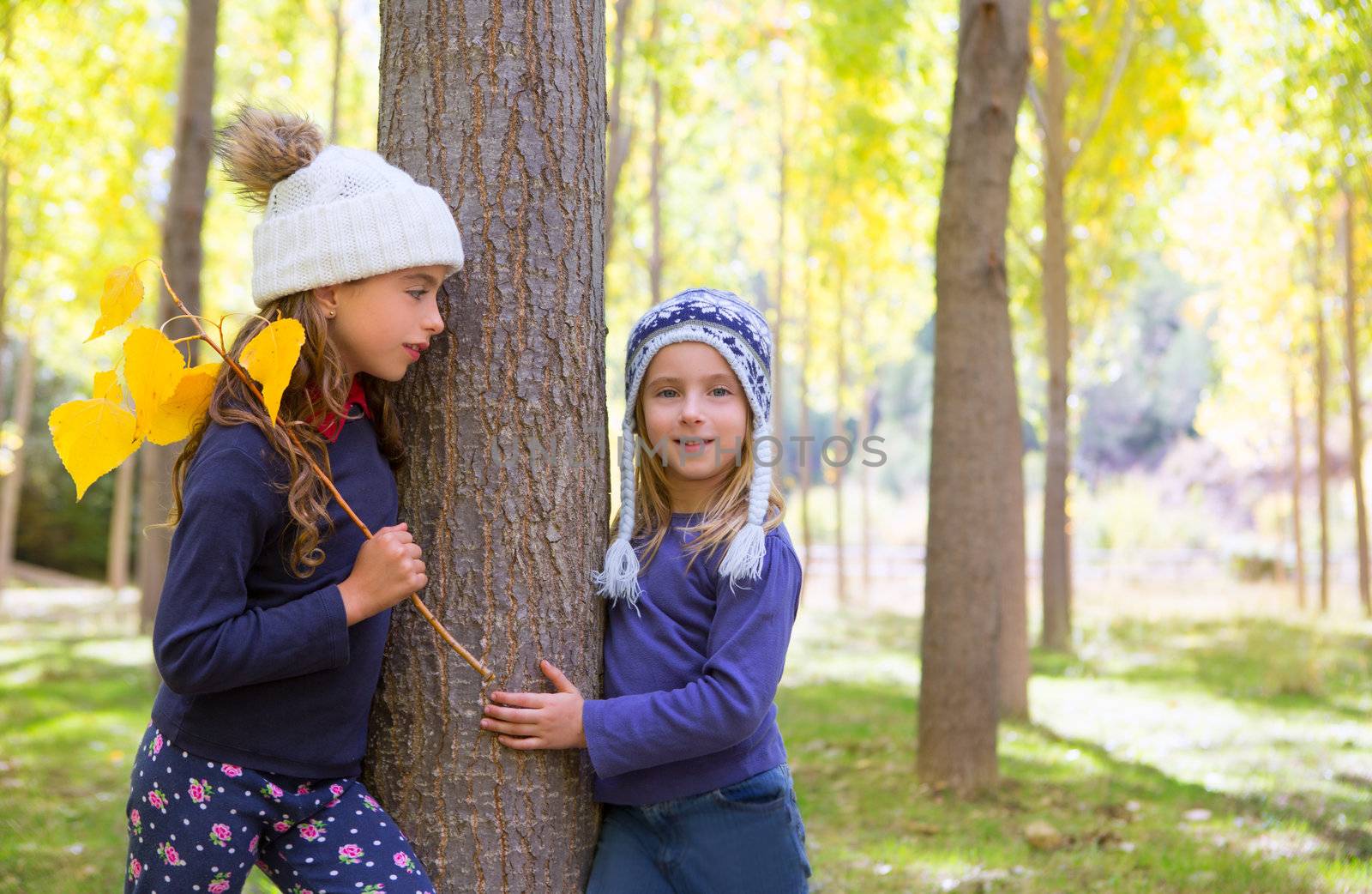 Autumn sister kid girls playing in poplar tree forest near trunk in nature outdoor