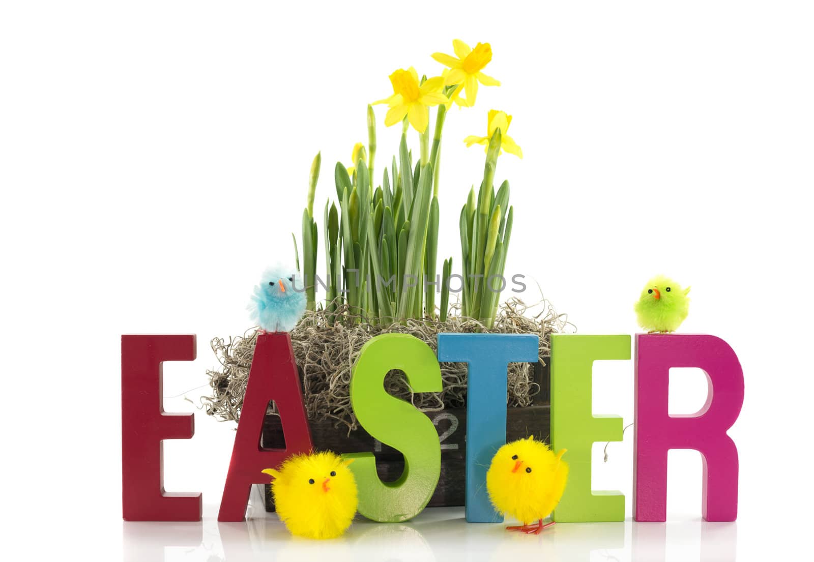 easter with daffodills narcissus chicks and letters
