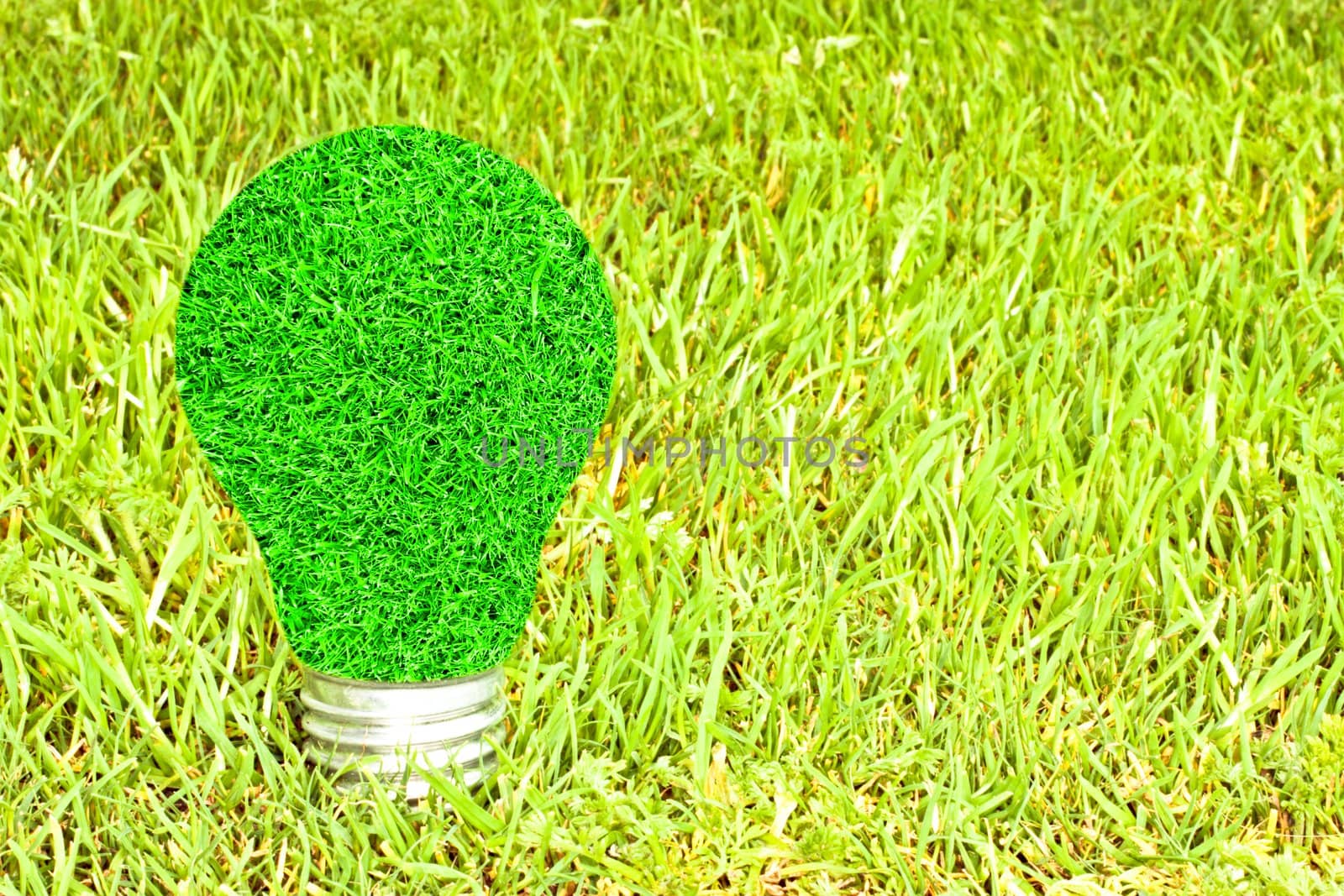 Light bulb made of green grass isolated on white background (ecological concepts)