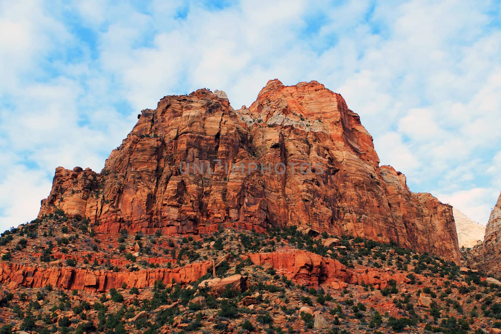 Dramatic View of Canyon, Zion National Park Cliffs