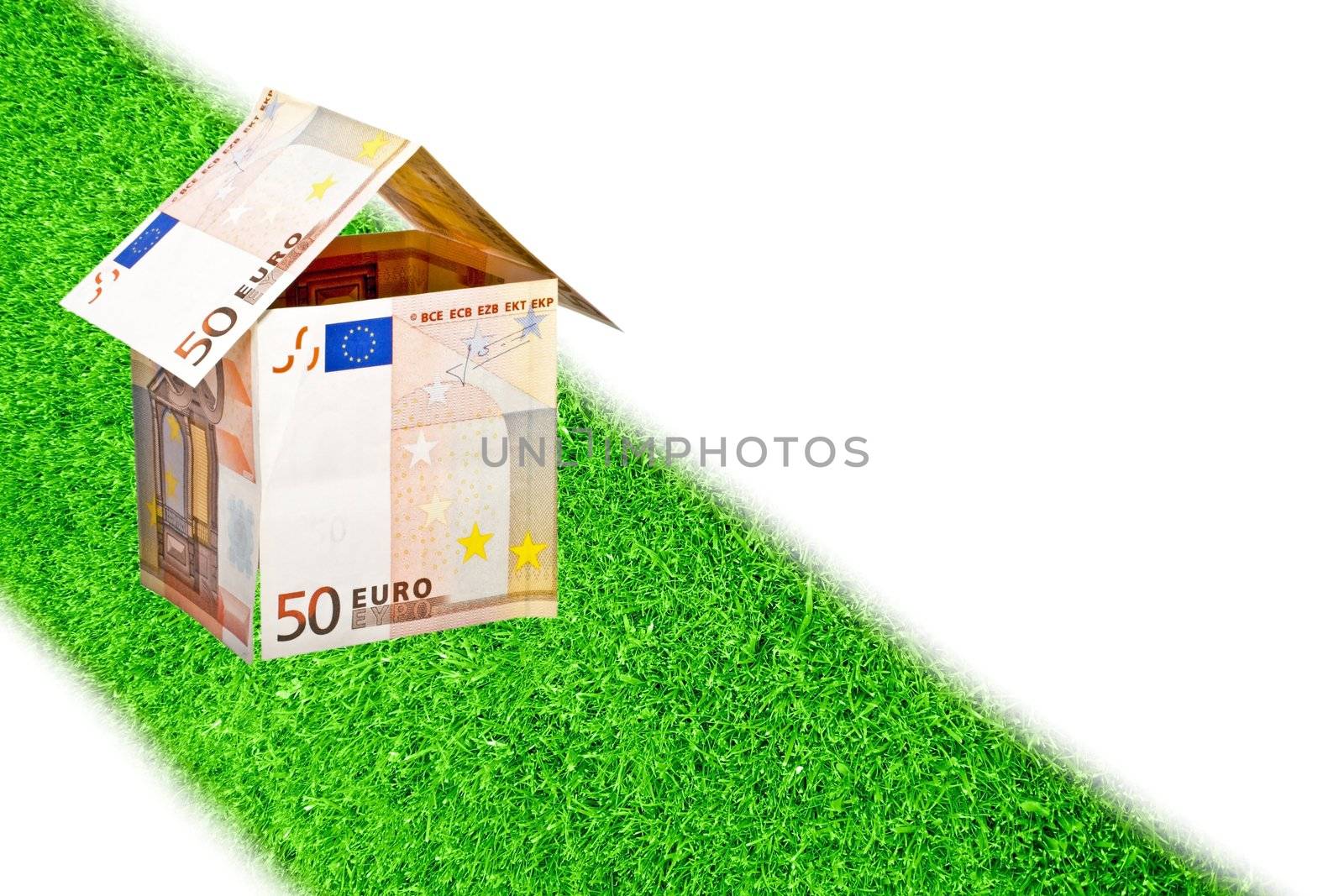Euro money house on a road from grass