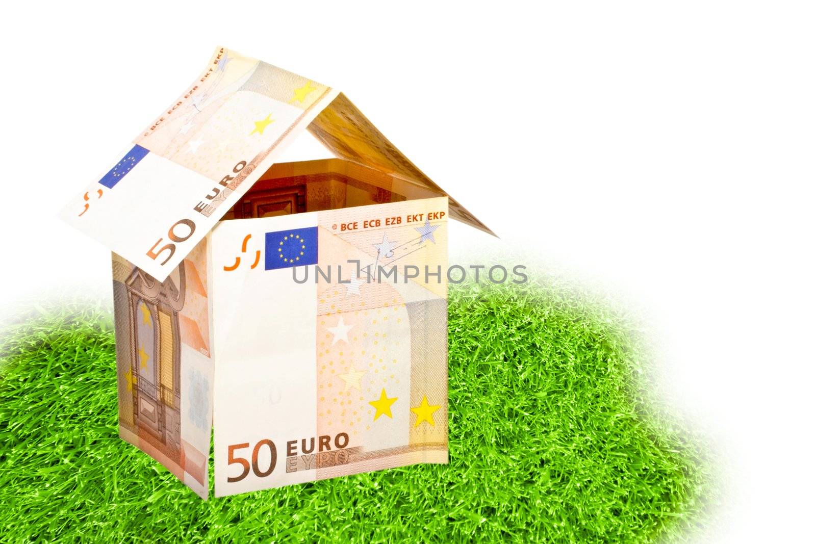 euro money house on a piece of grass
