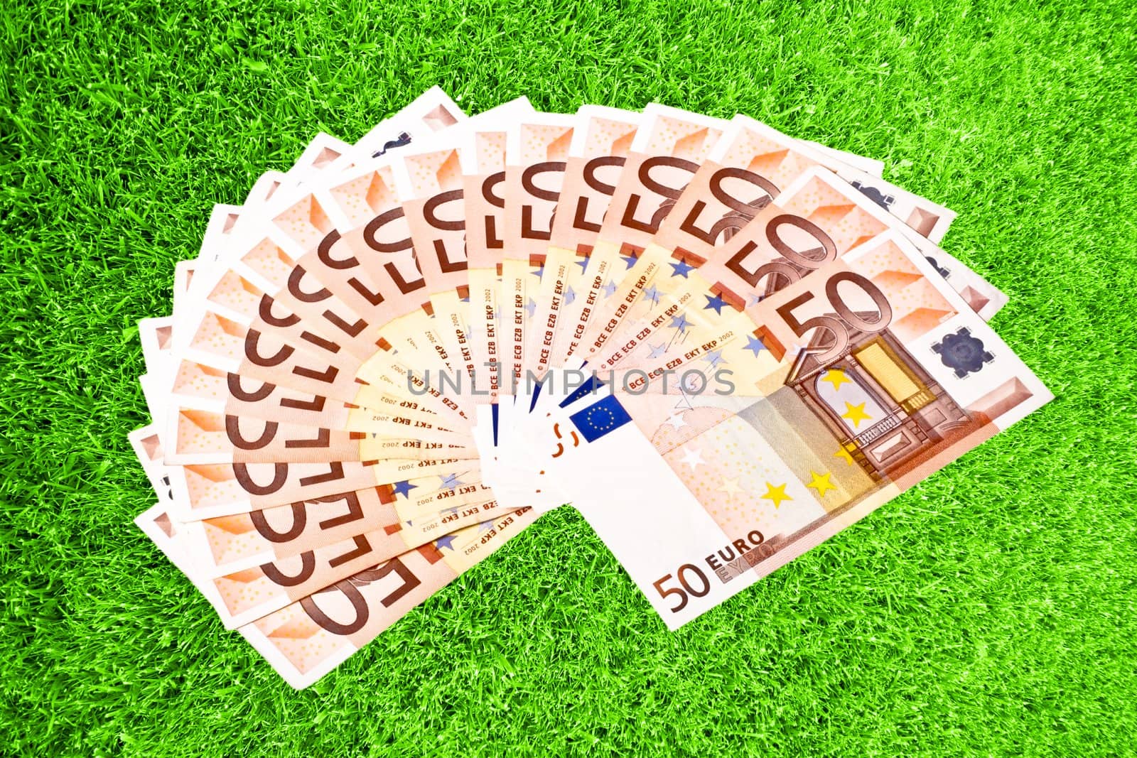 Fifty euro paper money on green grass