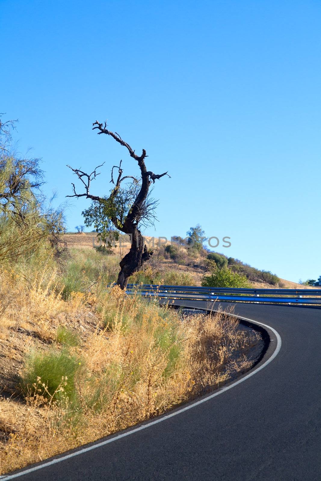 curved asphalt road in Andalusia by catolla