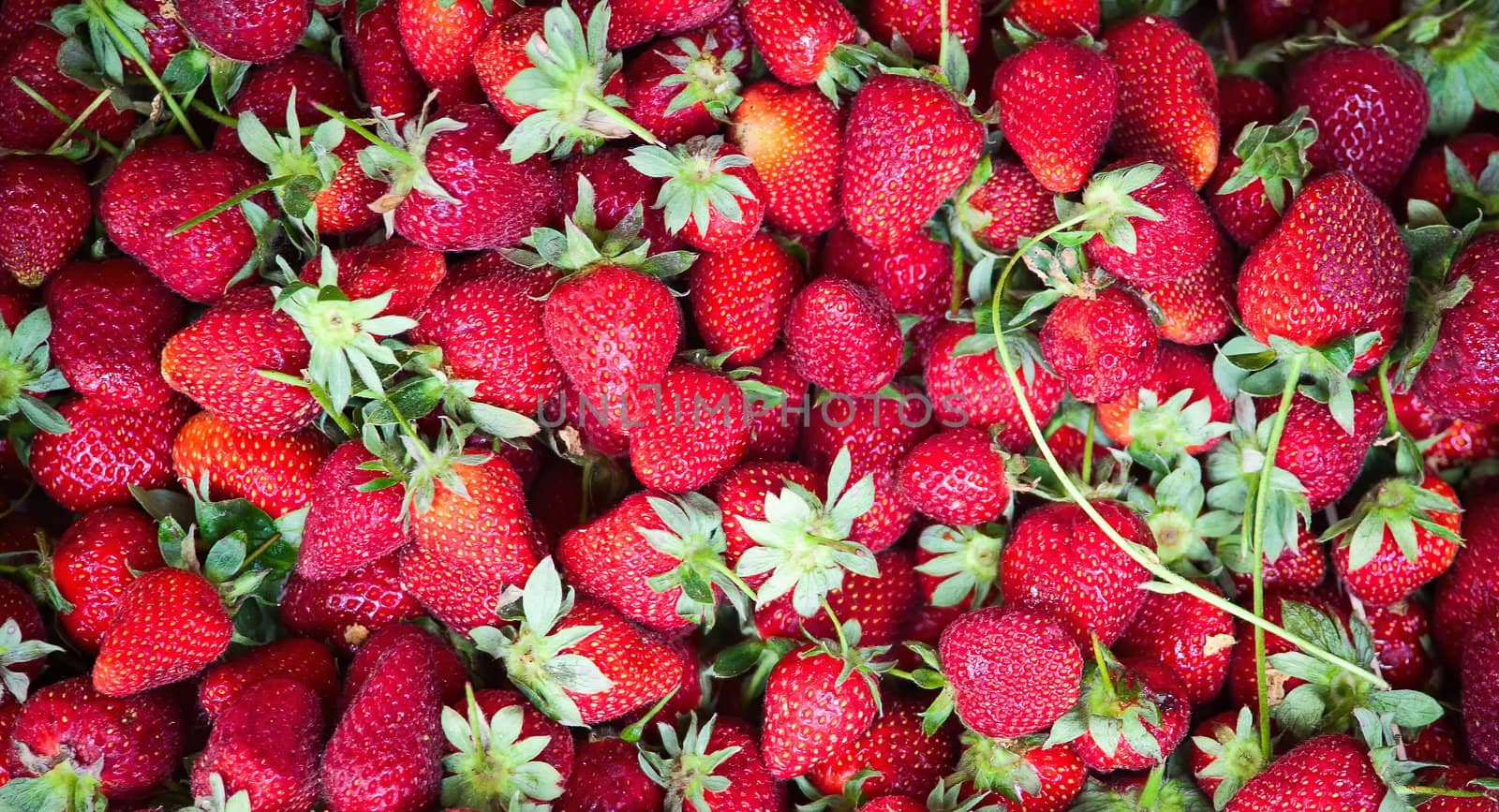 fresh strawberry by sfinks