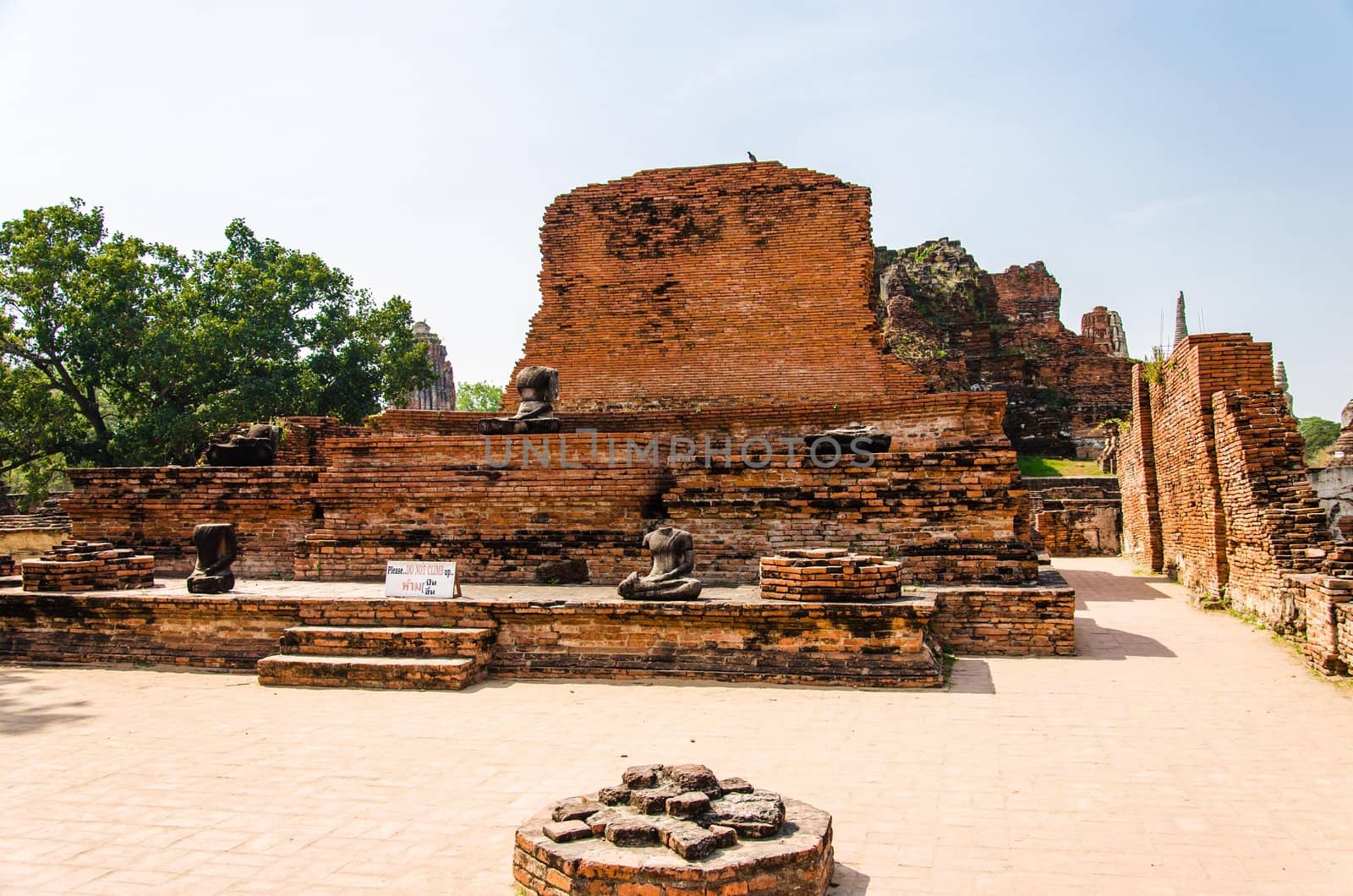 Buddha and the temple in Ayutthaya Thailand