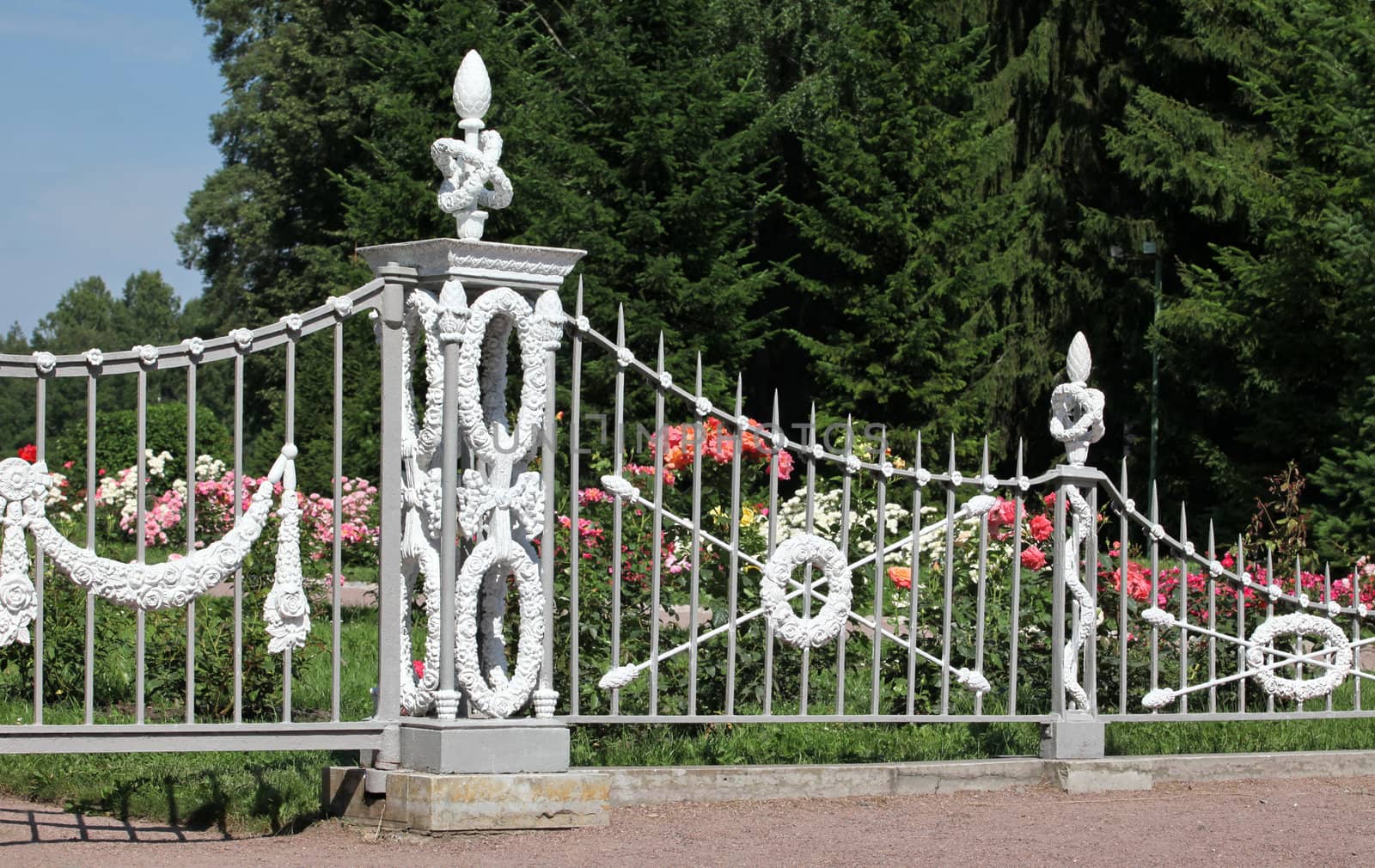 Ornate iron-wrought fence of rose garden