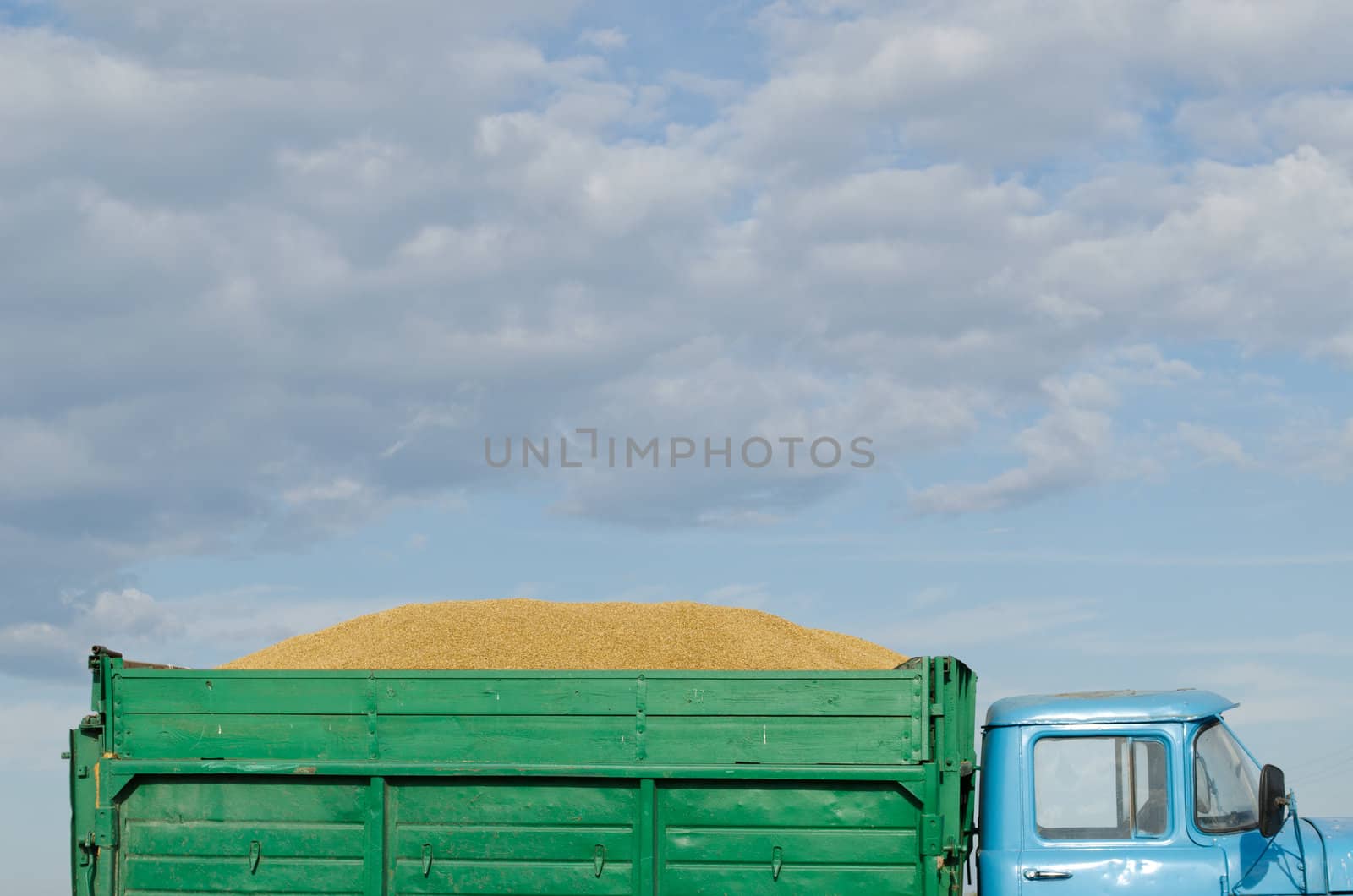 old retro truck lorry car trailer full of harvested wheat grain cereal on background of cloudy blue sky.