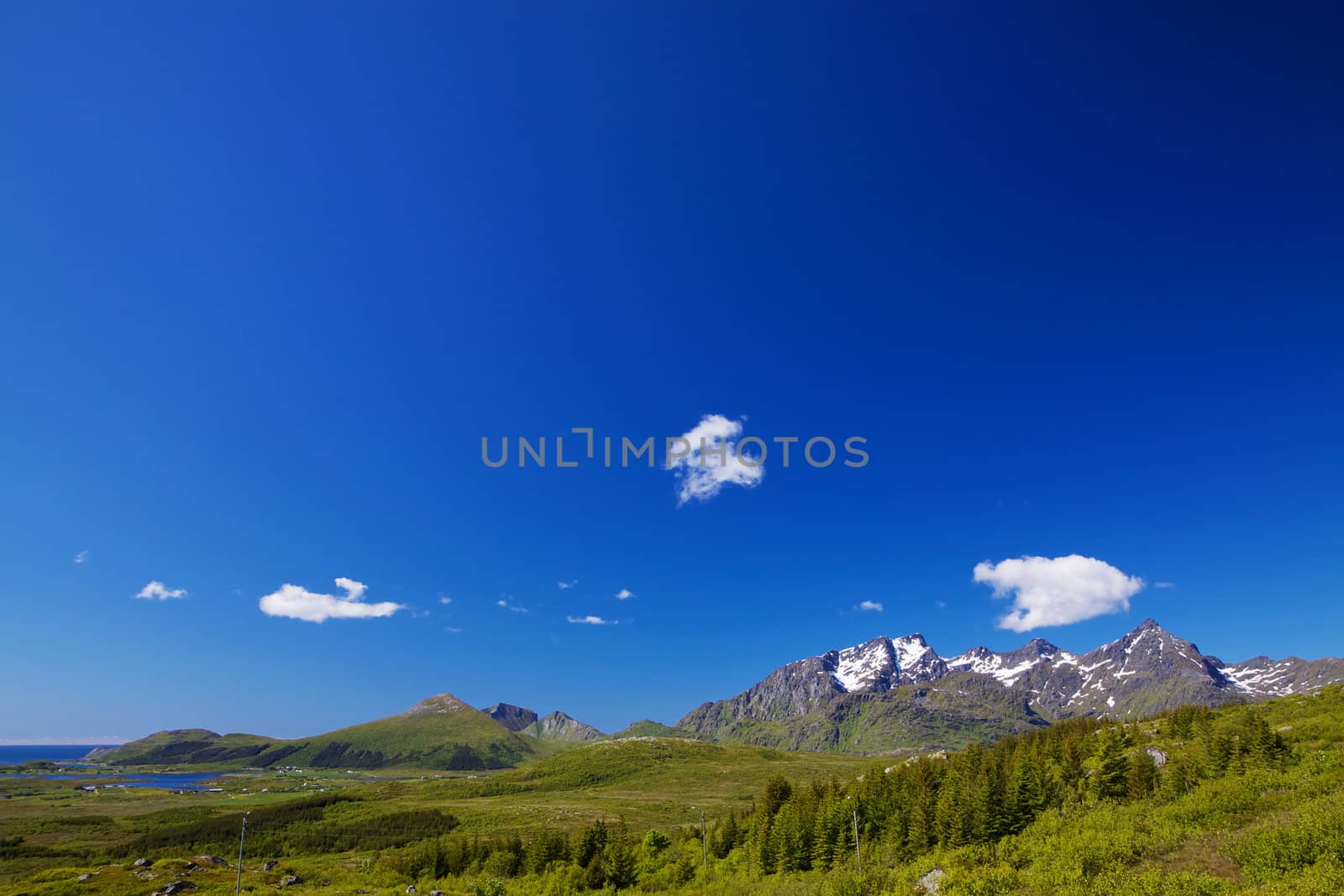 Natural panorama with green forest, snowy mountain peaks and clear blue sky