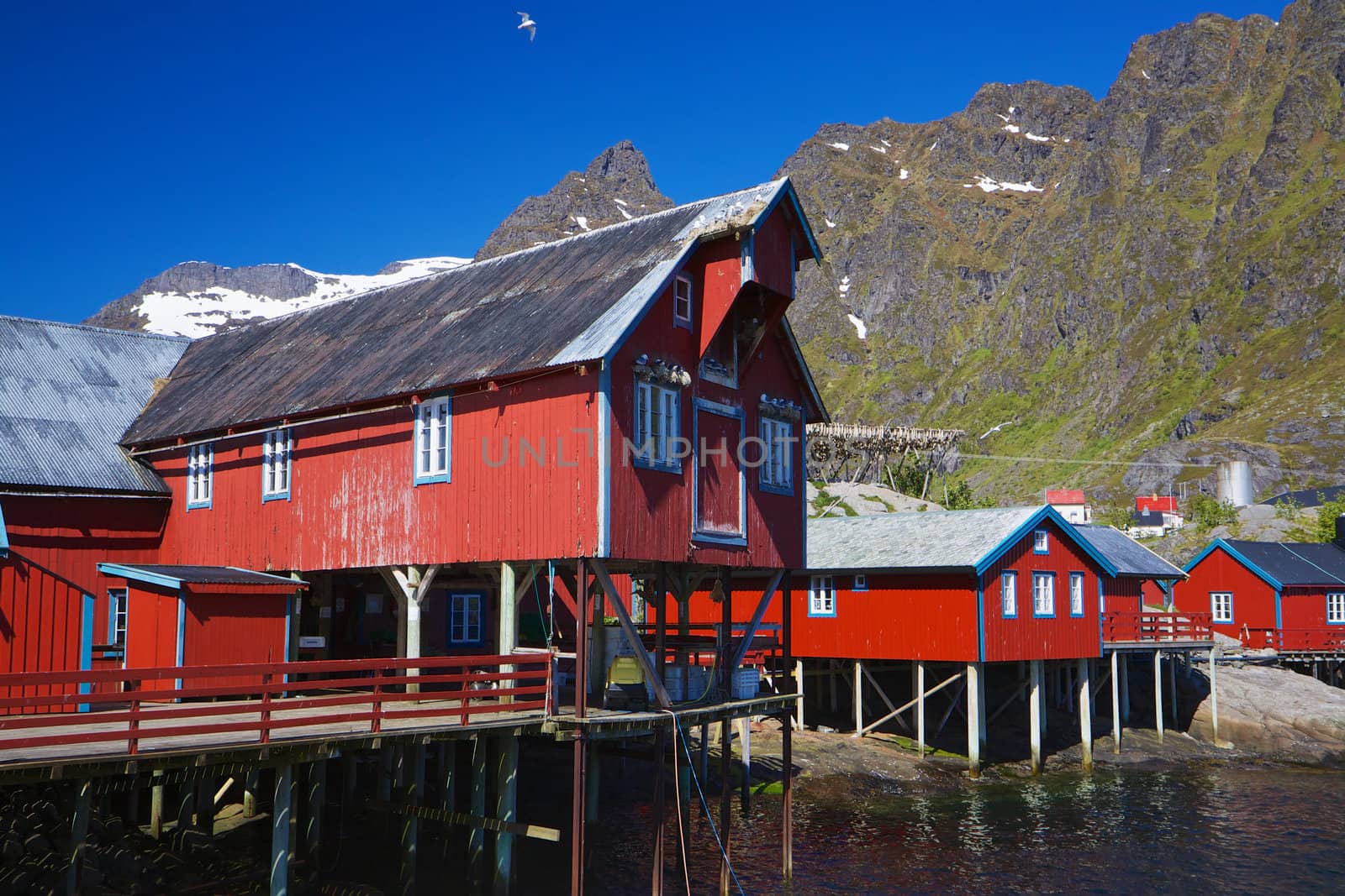 Typical red fishing factory on Lofoten islands in Norway