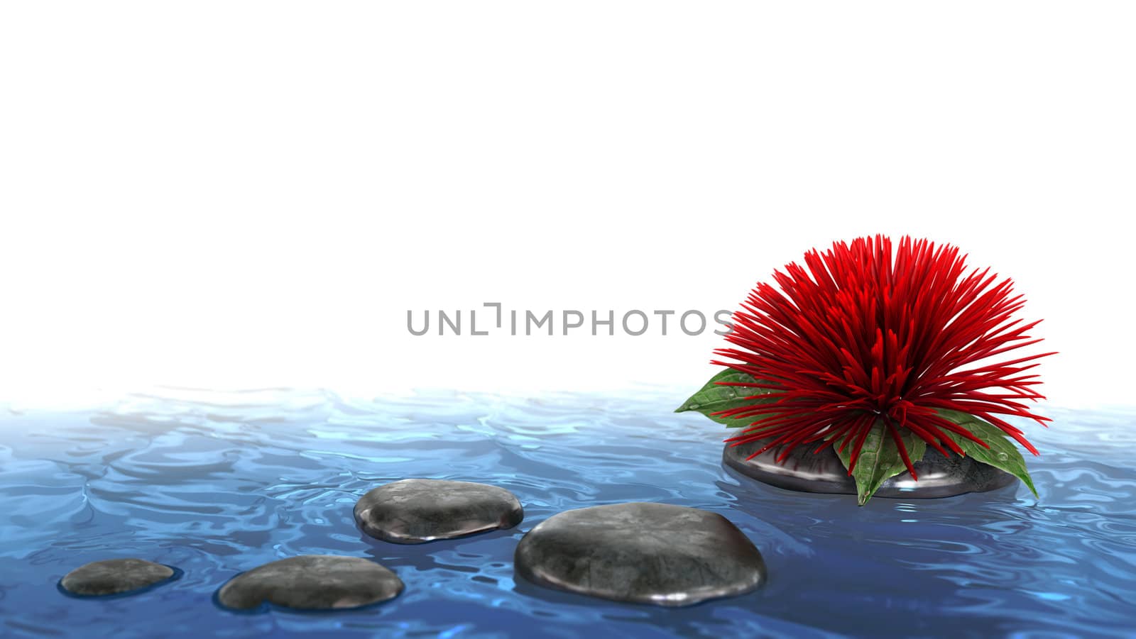 decorative holiday background flower with stone on the water