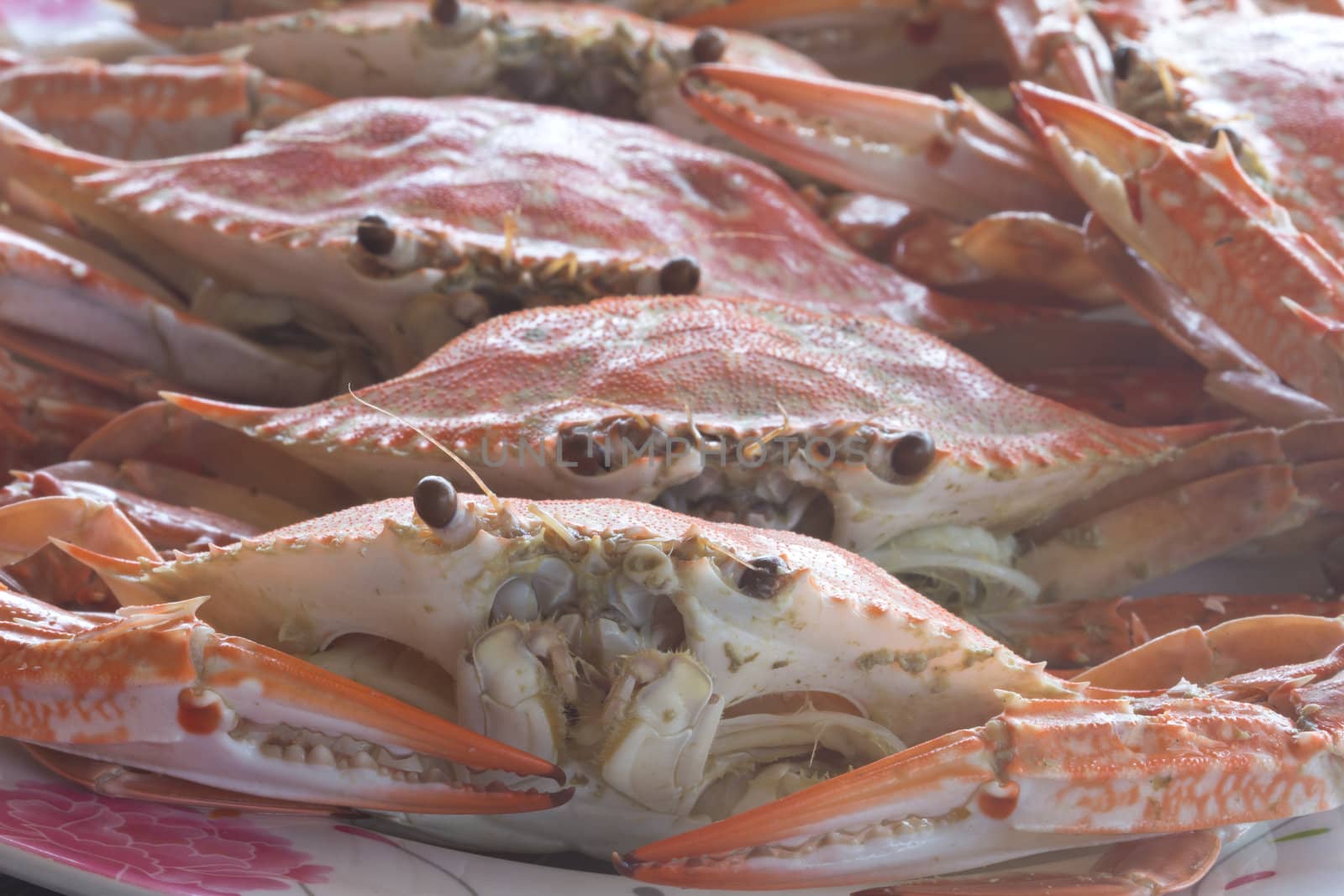 Big red fresh steamed crabs to eat