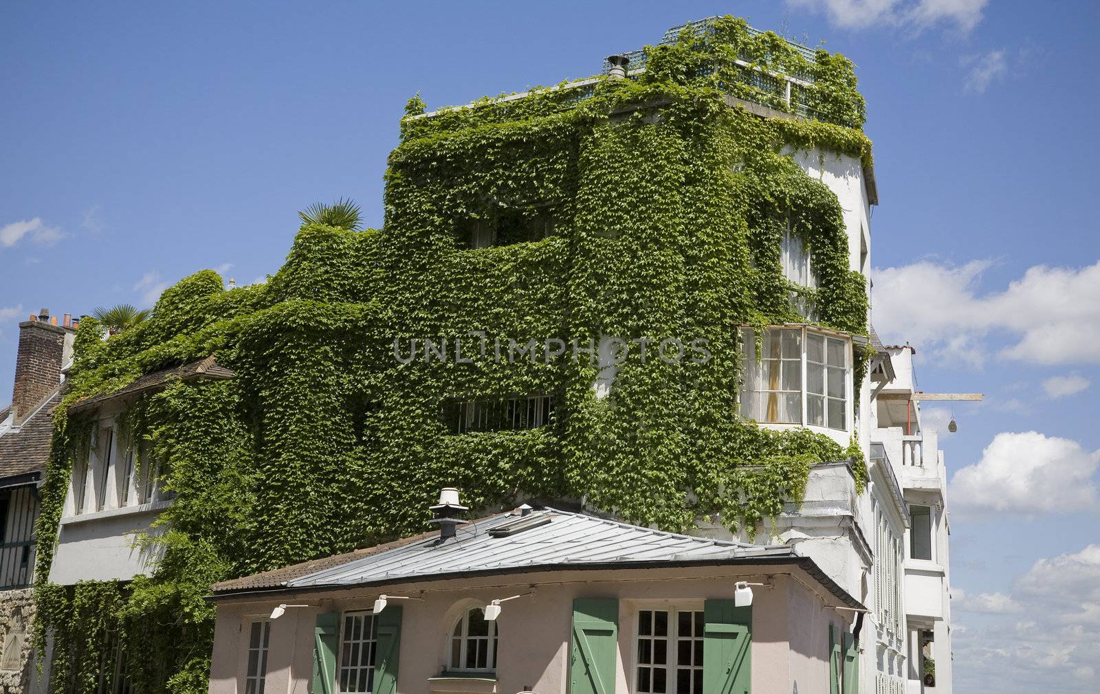 House covered by vine - Montmartre, Paris.