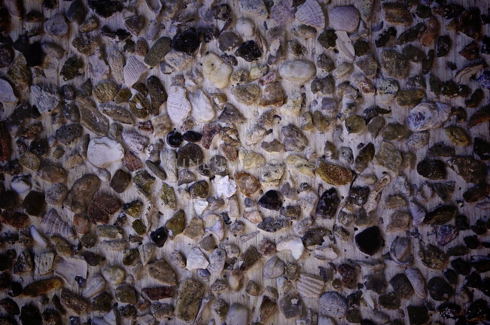 Abstract background stone and shell wall texture