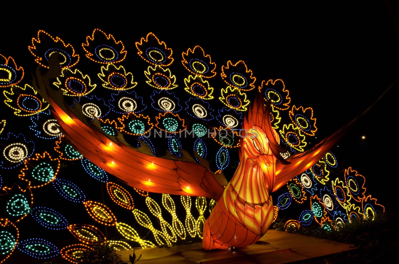Peacock lantern at Lantern Festival in southern Thailand