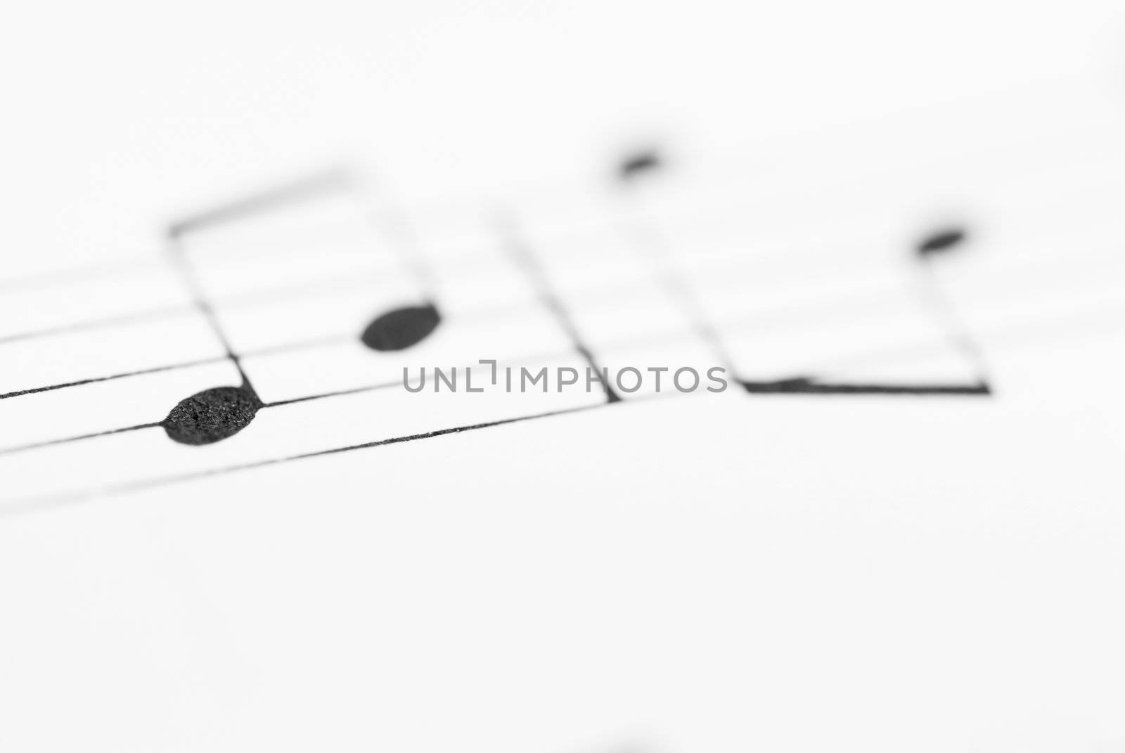 Macro photo of sheet music.