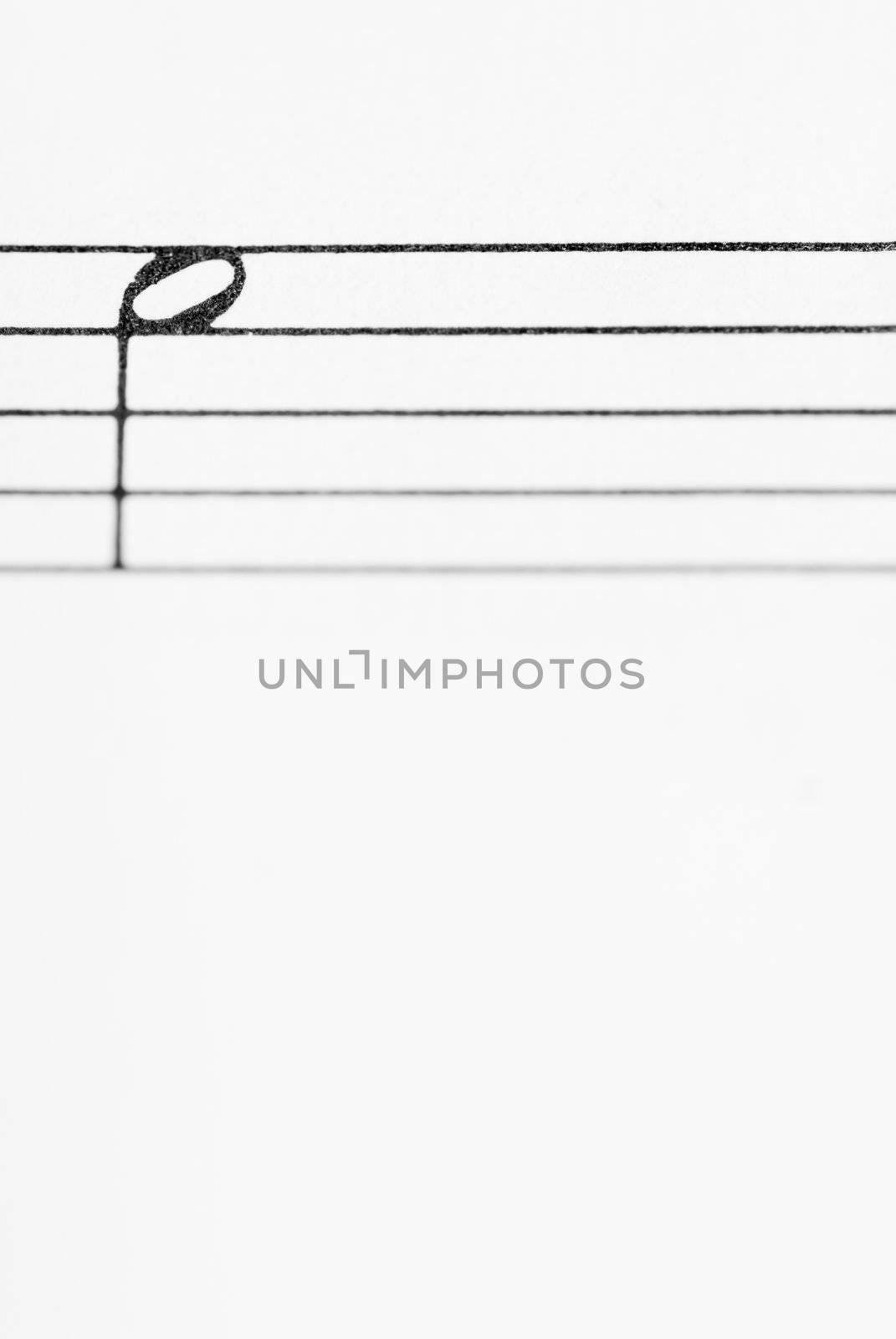 Macro photo of sheet music.