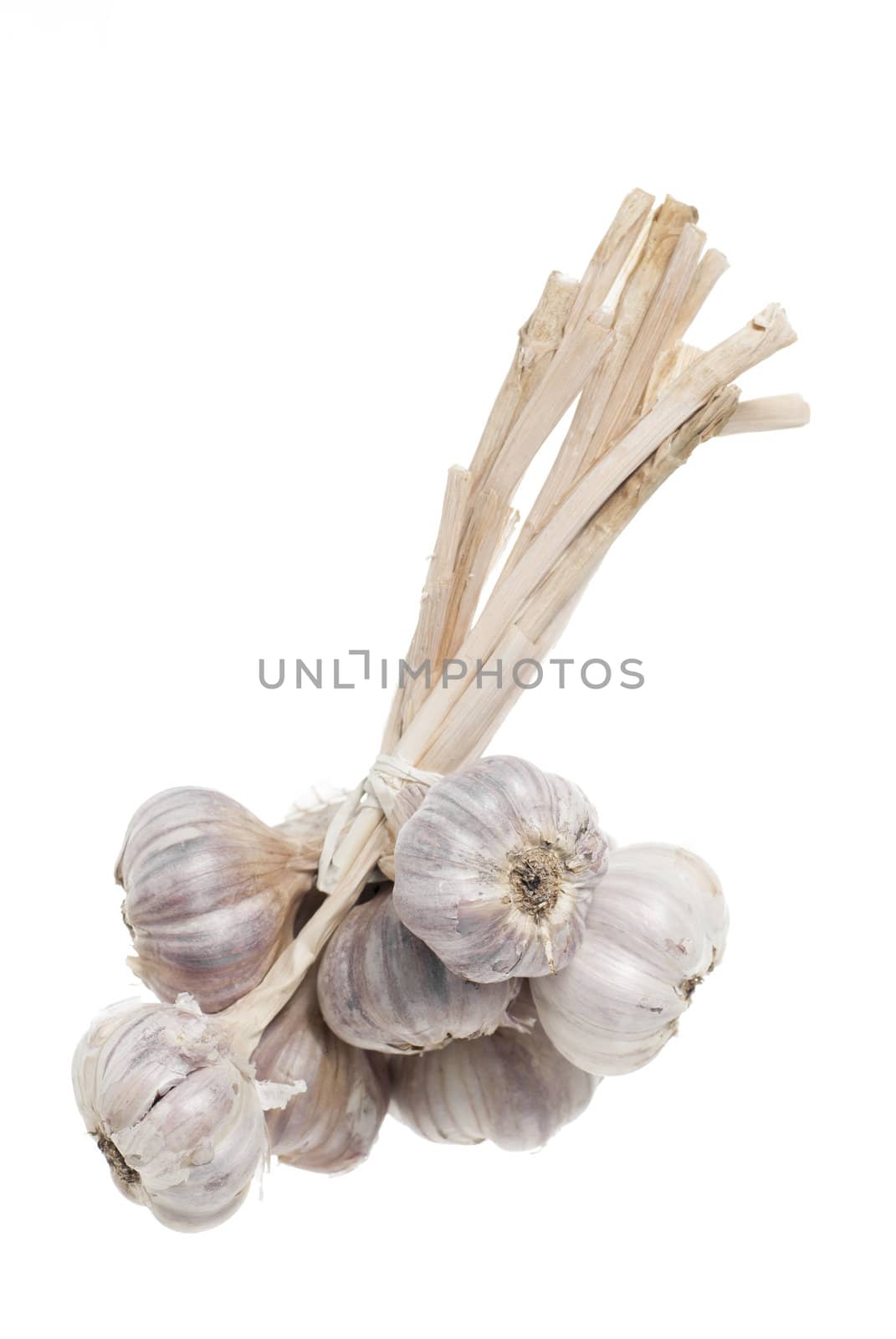 Bunch of tied garlic against white background.