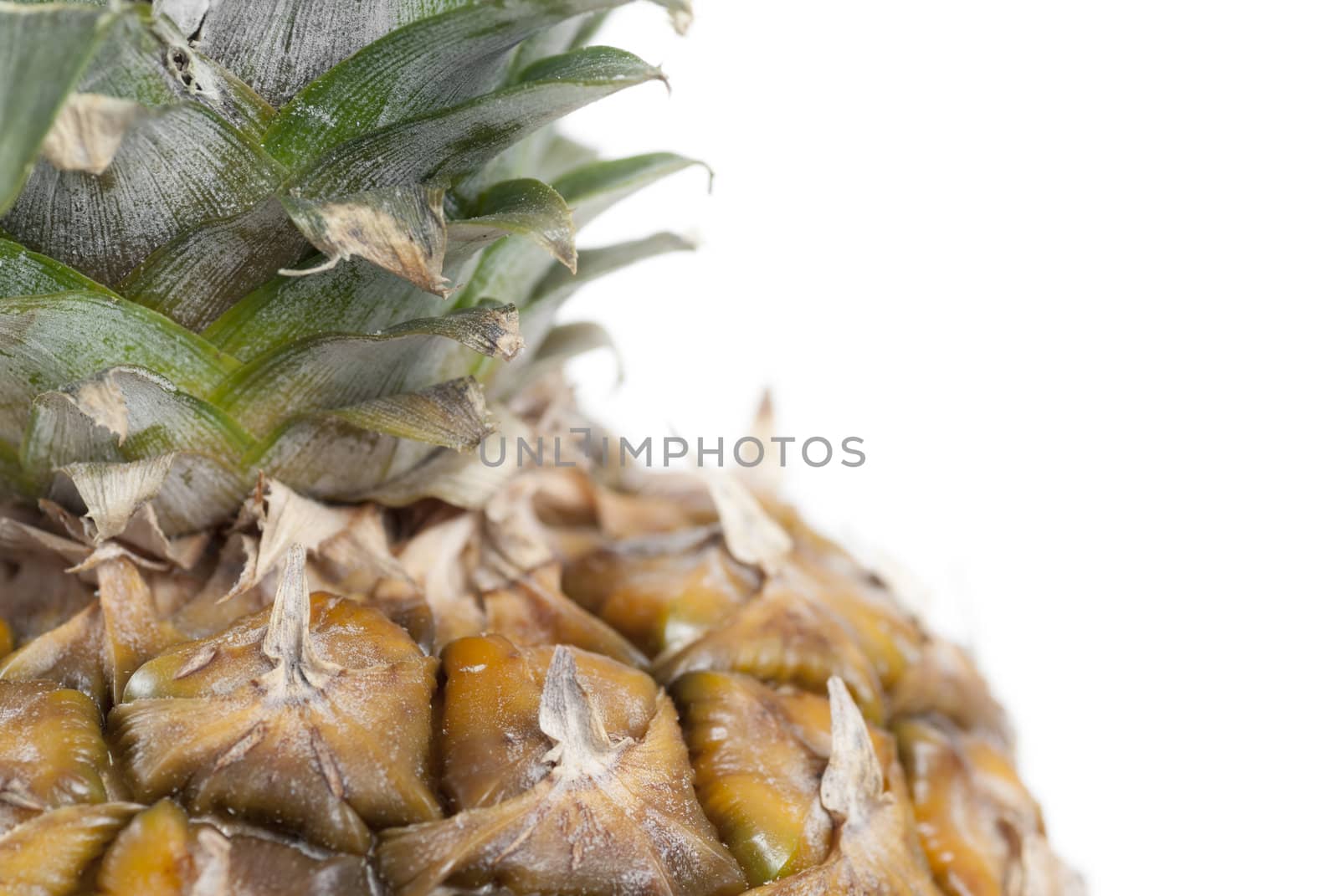 Cropped pineapple against white background.