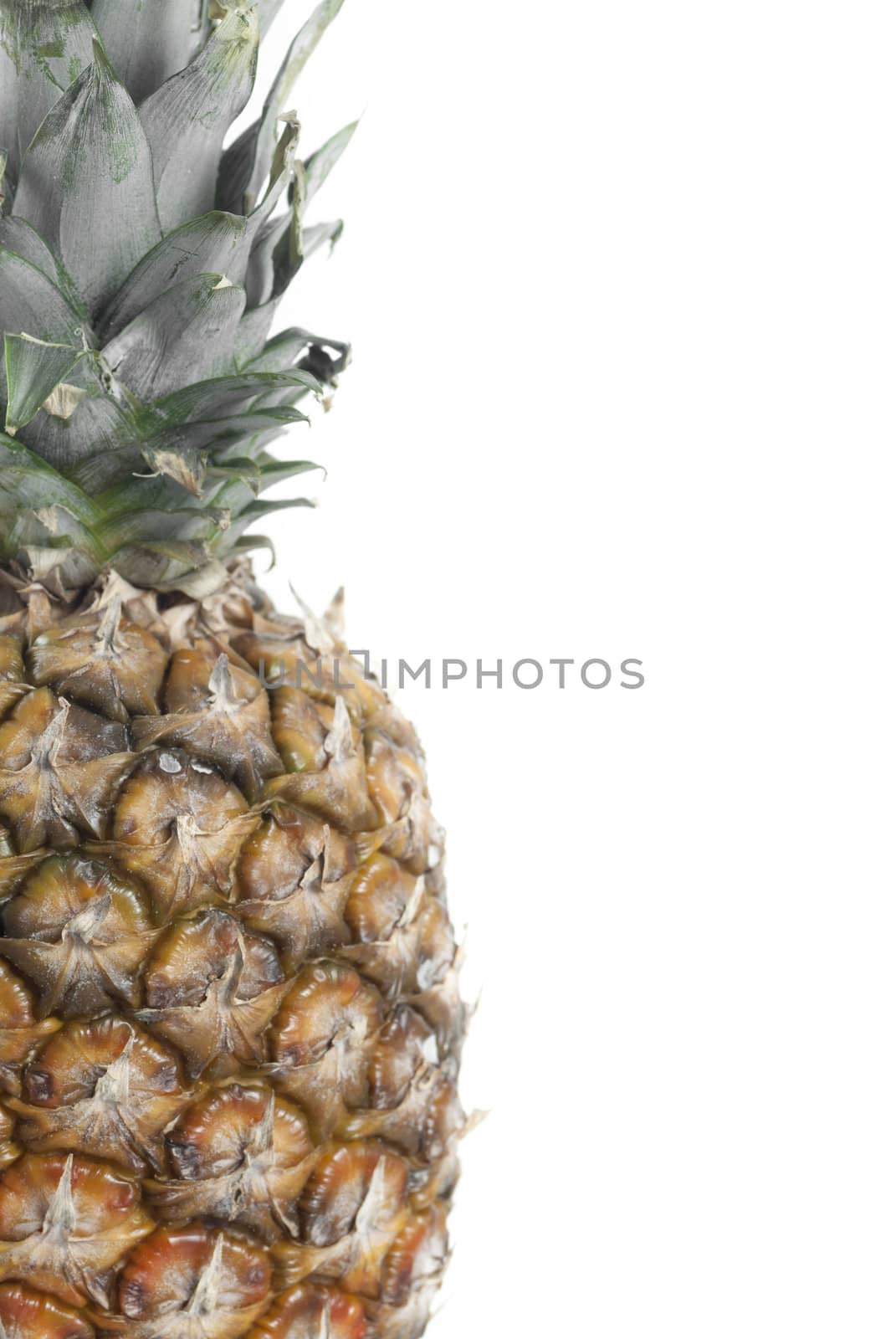 Whole pineapple set agains white background.