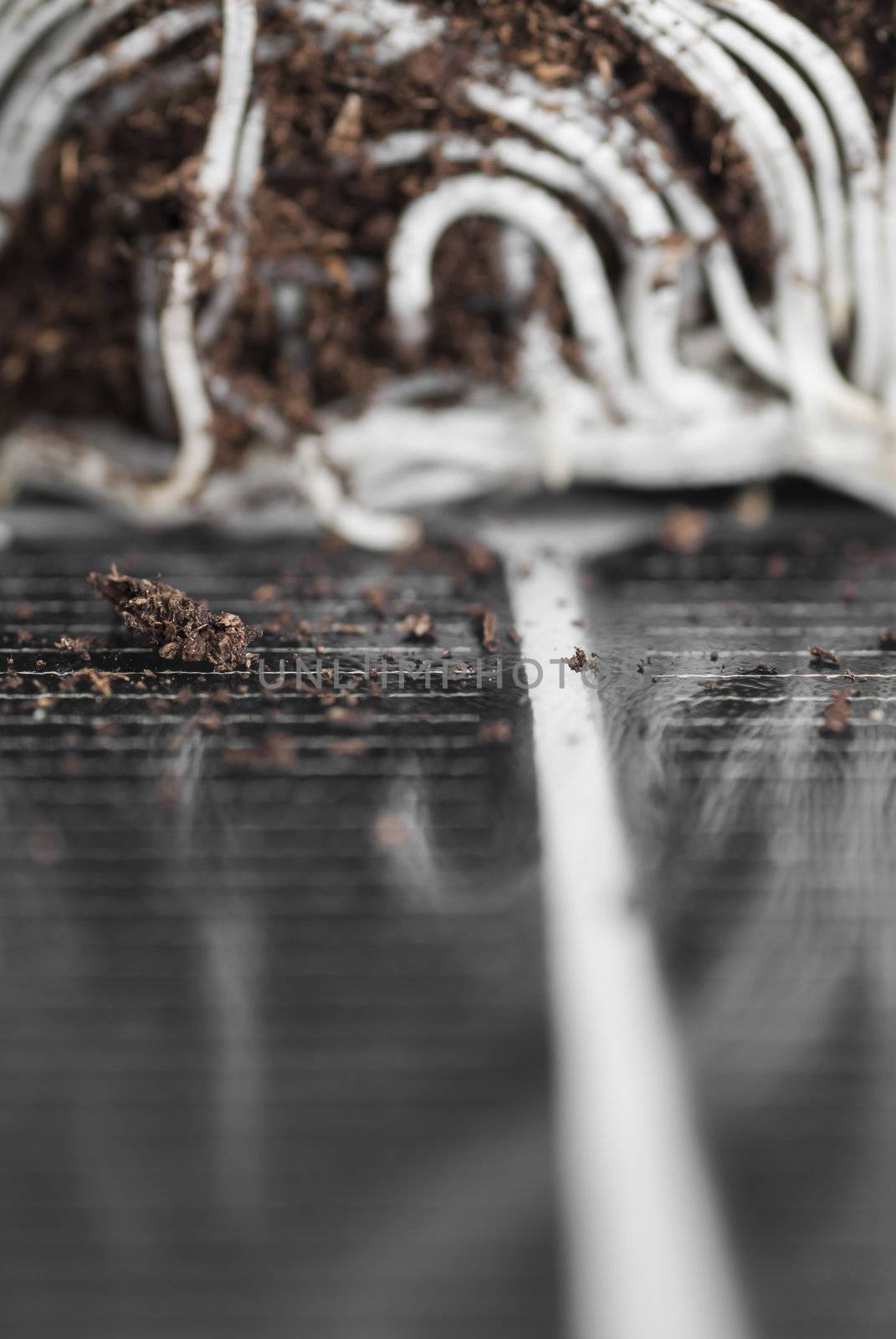 PV solar panel and plant with roots.