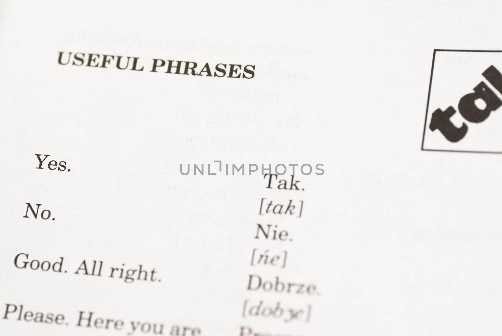 Macro image of first page of Polish phrase book.