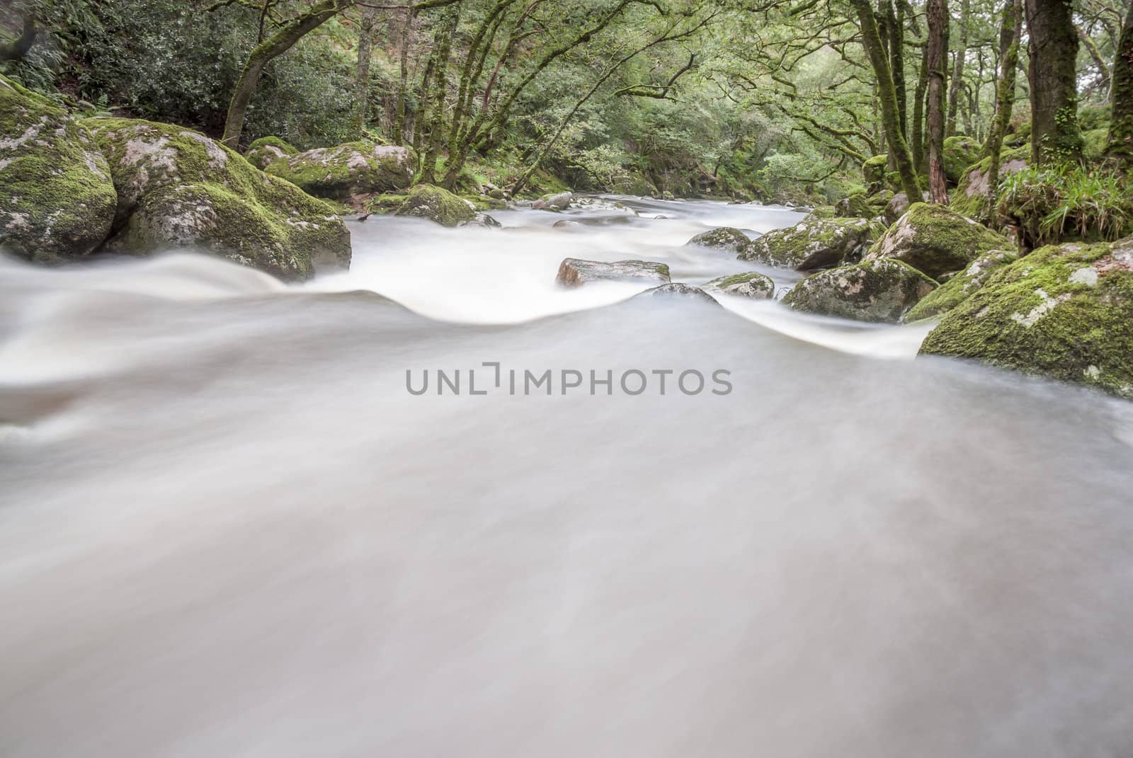 Slow shutter fast flowing river in woodland, Dartmoor, UK.