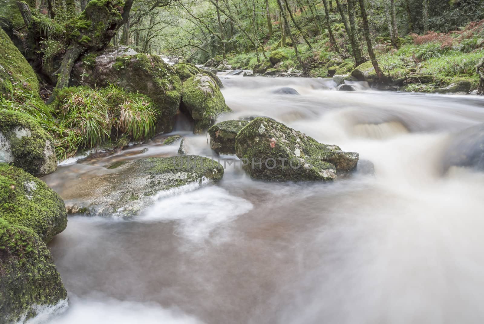 Slow shutter fast flowing river in woodland, Dartmoor, UK.