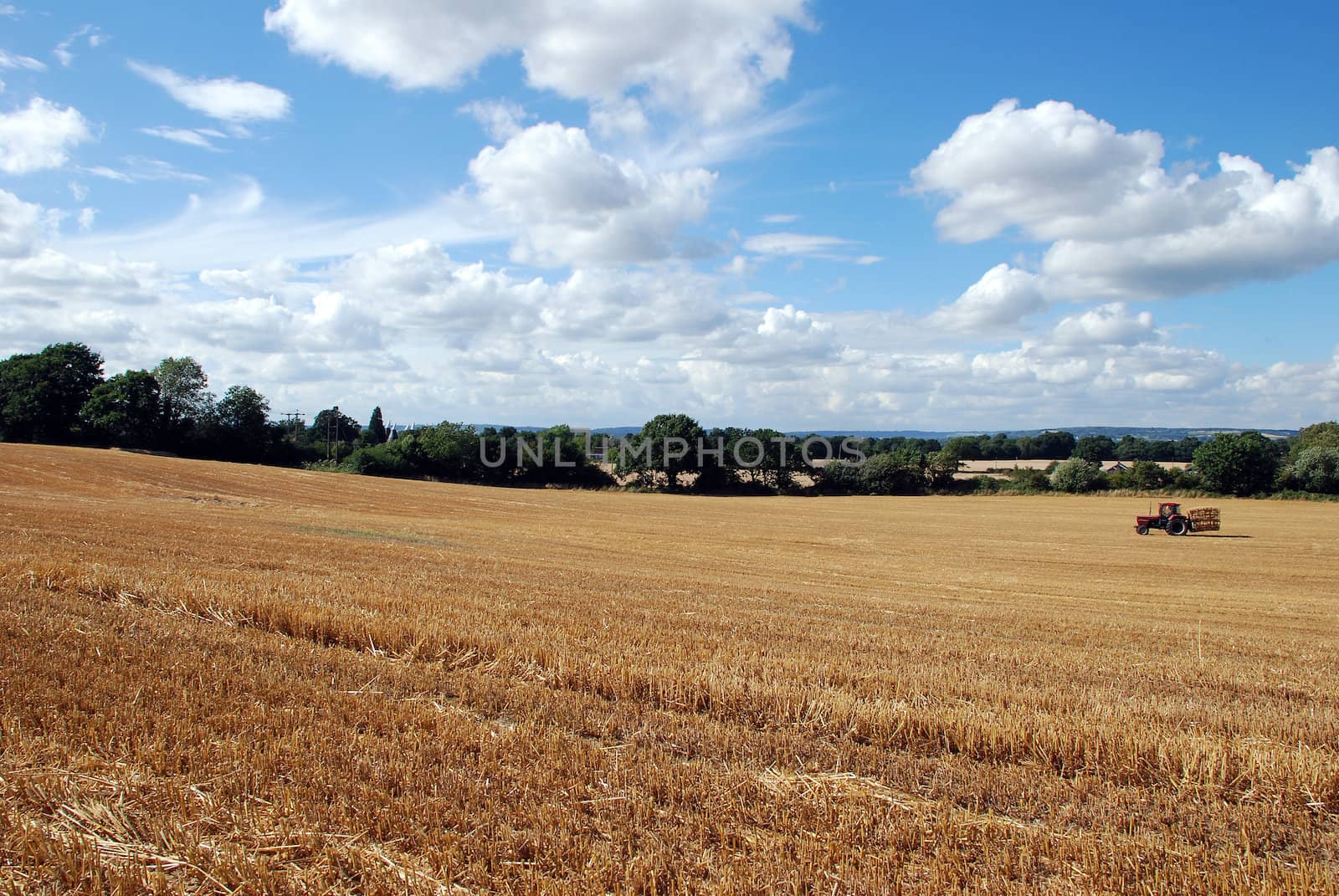 Barley field after harvest time with a tractor taking the last bales away