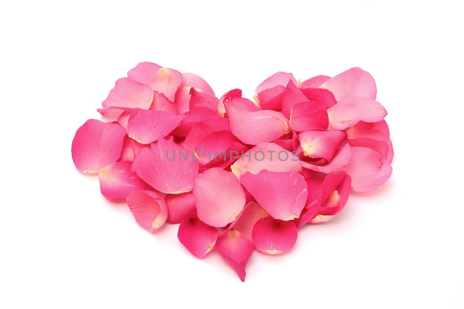 Rose petals in a form of heart on white background