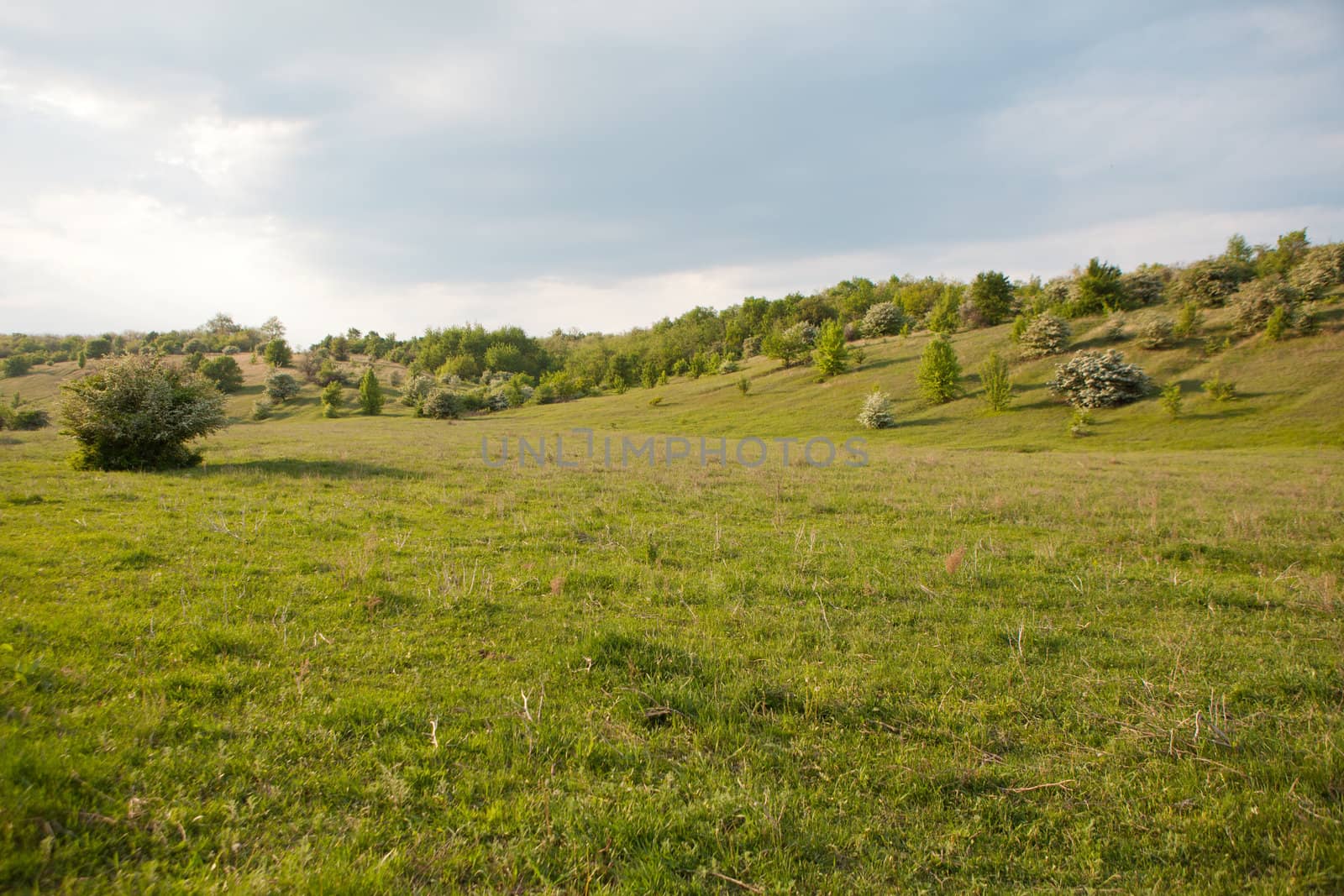 view from the green hill in the country 