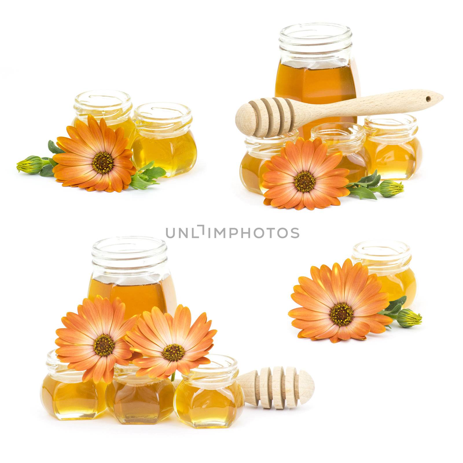 honey and flowers - collage