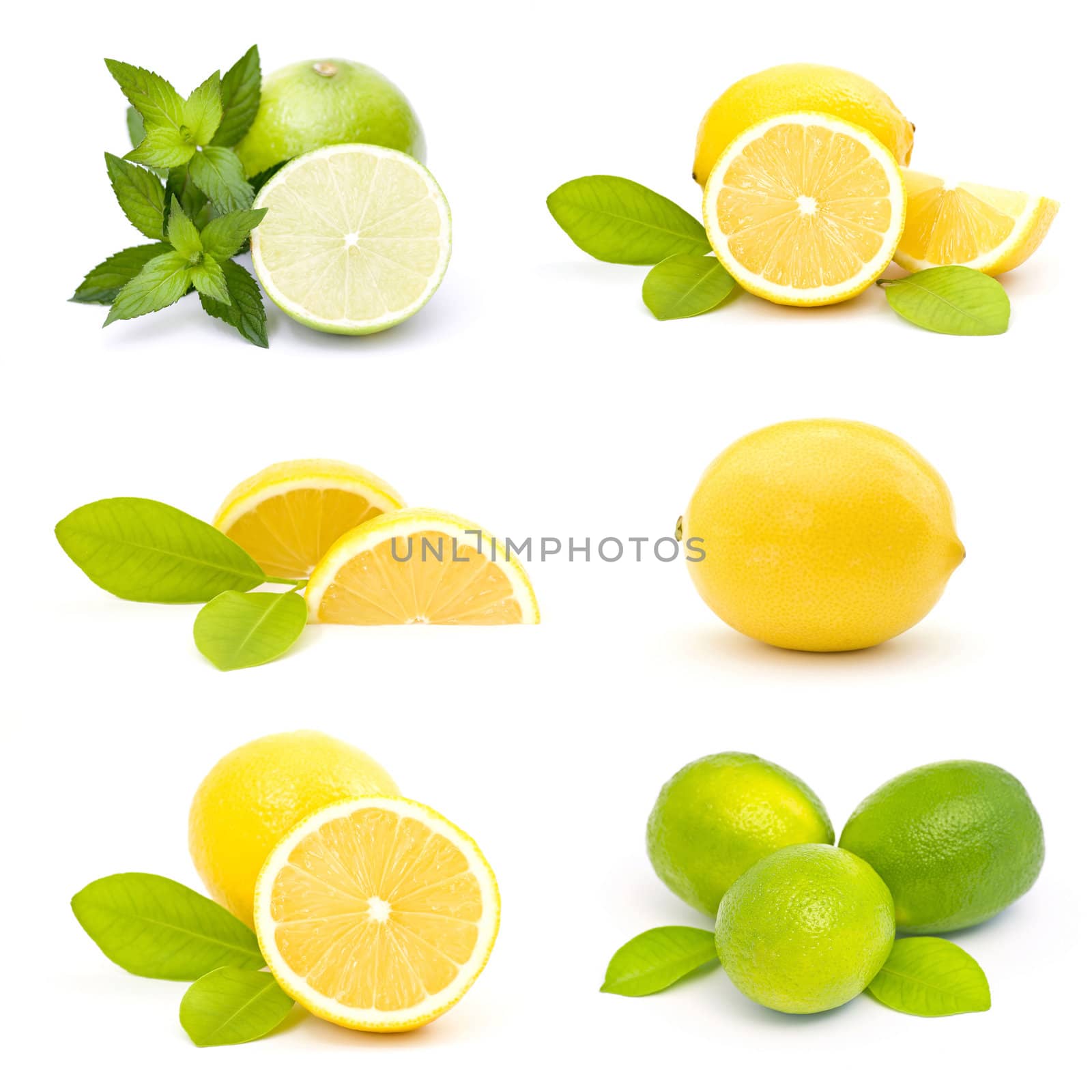 collection of fresh limes and lemons - collage by miradrozdowski