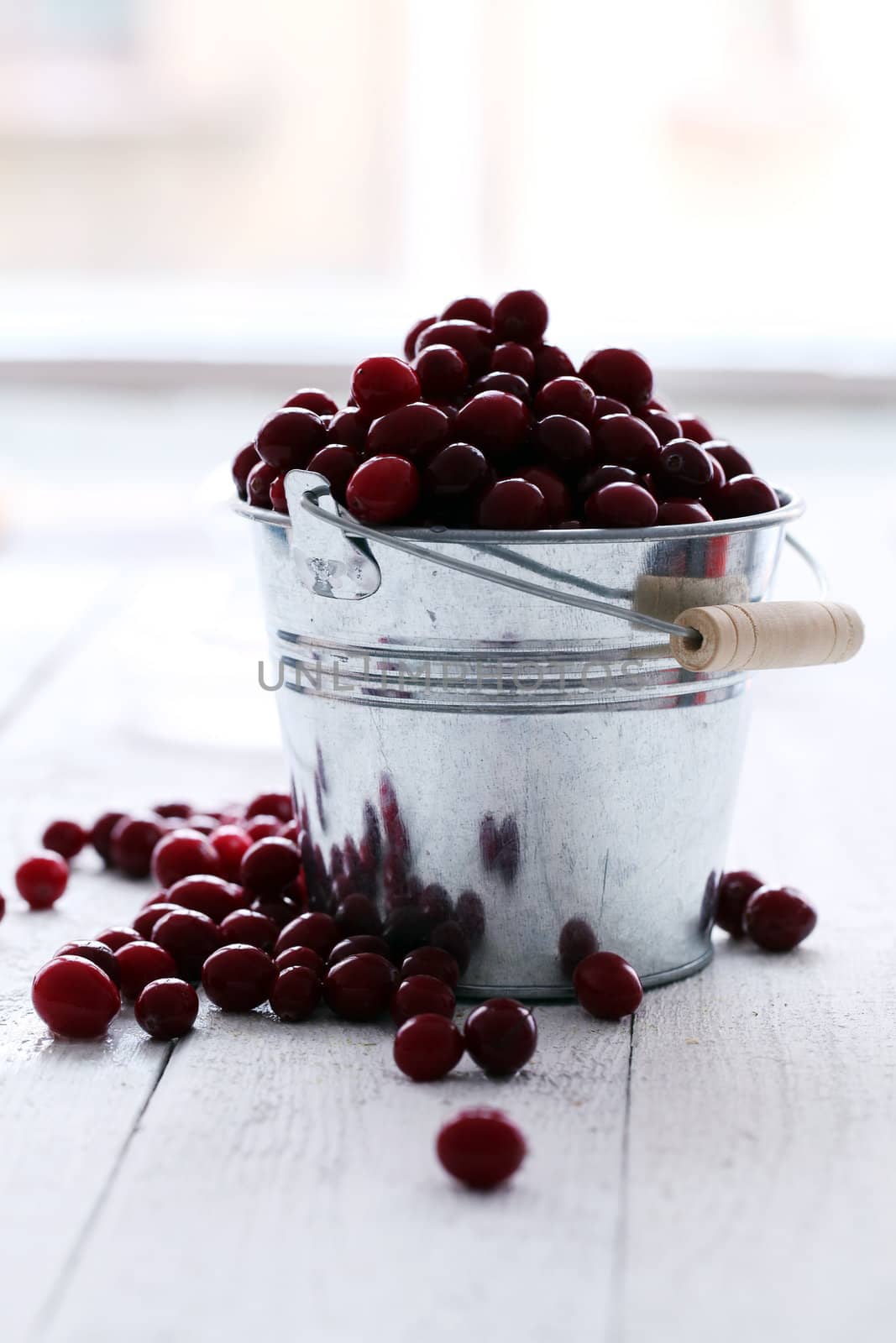 Fresh cranberries in a silver bucket on a white wooden table