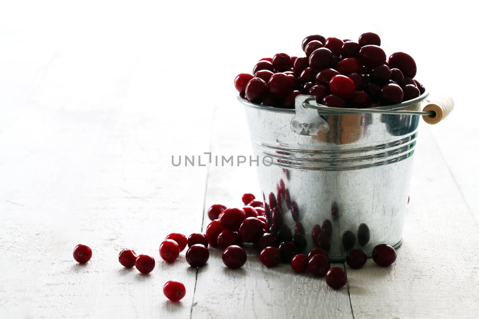 Fresh cranberries in a silver bucket on a white wooden table